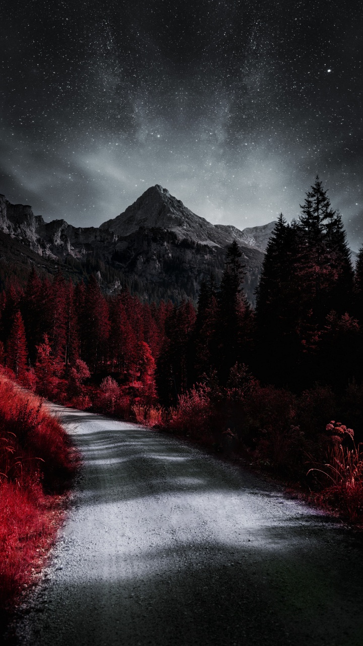 Plant, Atmosphere, Cloud, Natural Landscape, Natural Environment. Wallpaper in 720x1280 Resolution