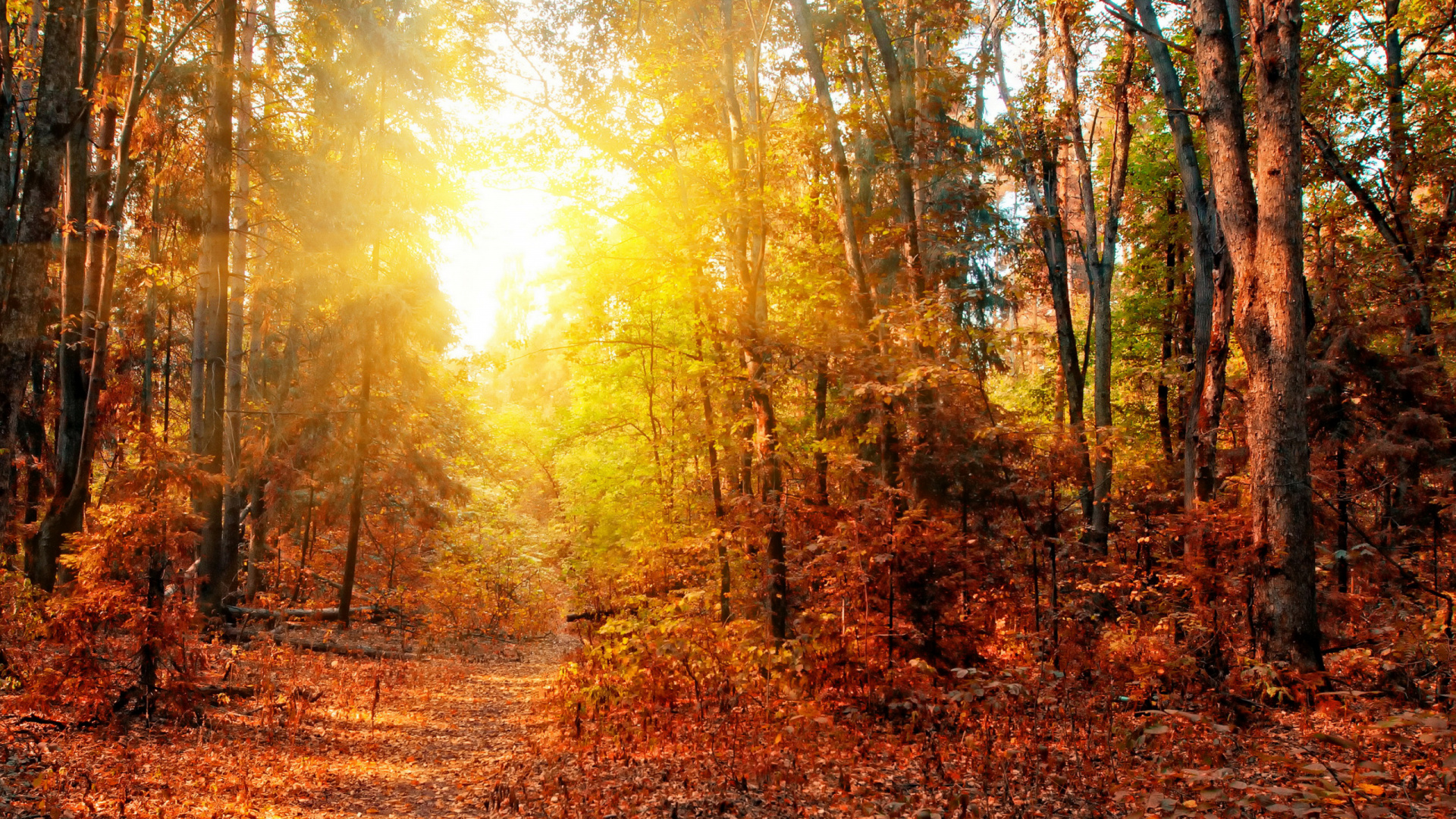 la Peinture de Paysage, Panorama, Illustration, Les Gens Dans la Nature, Feuille. Wallpaper in 1920x1080 Resolution