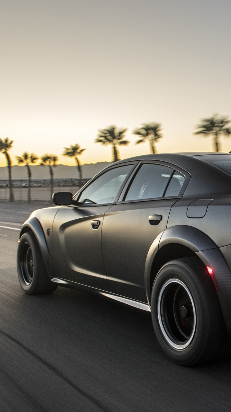 Dodge Charger Speedkore, 2019 Dodge Charger, Dodge Charger Lx, Dodge, King. Wallpaper in 750x1334 Resolution