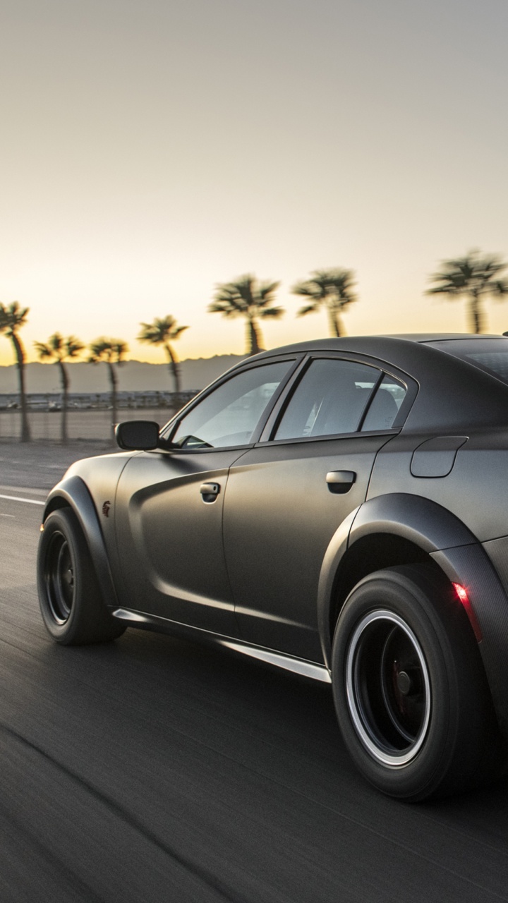 Dodge Chargeur Speedkore, Dodge Charger 2019, Dodge Charger Lx, Ruse, Roi. Wallpaper in 720x1280 Resolution