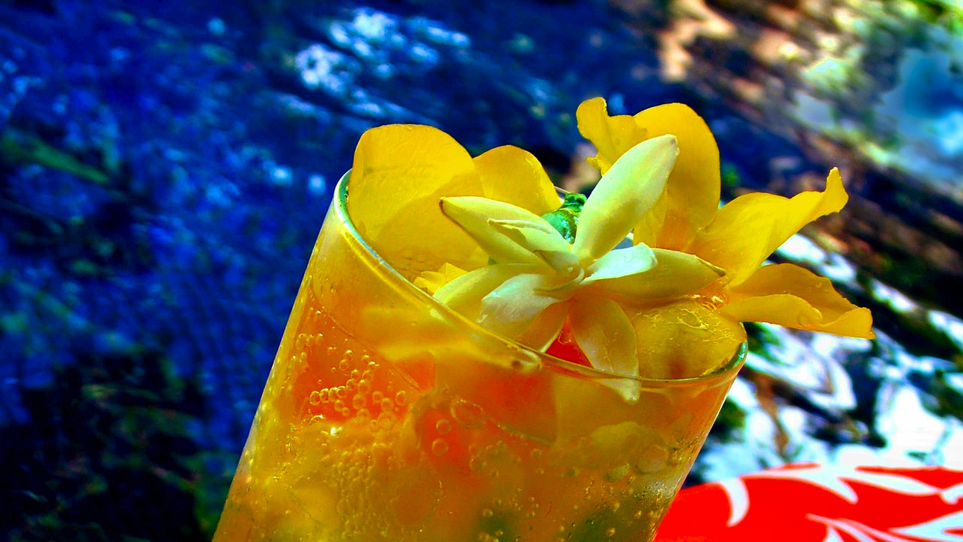 Clear Drinking Glass With Orange Juice. Wallpaper in 1920x1080 Resolution