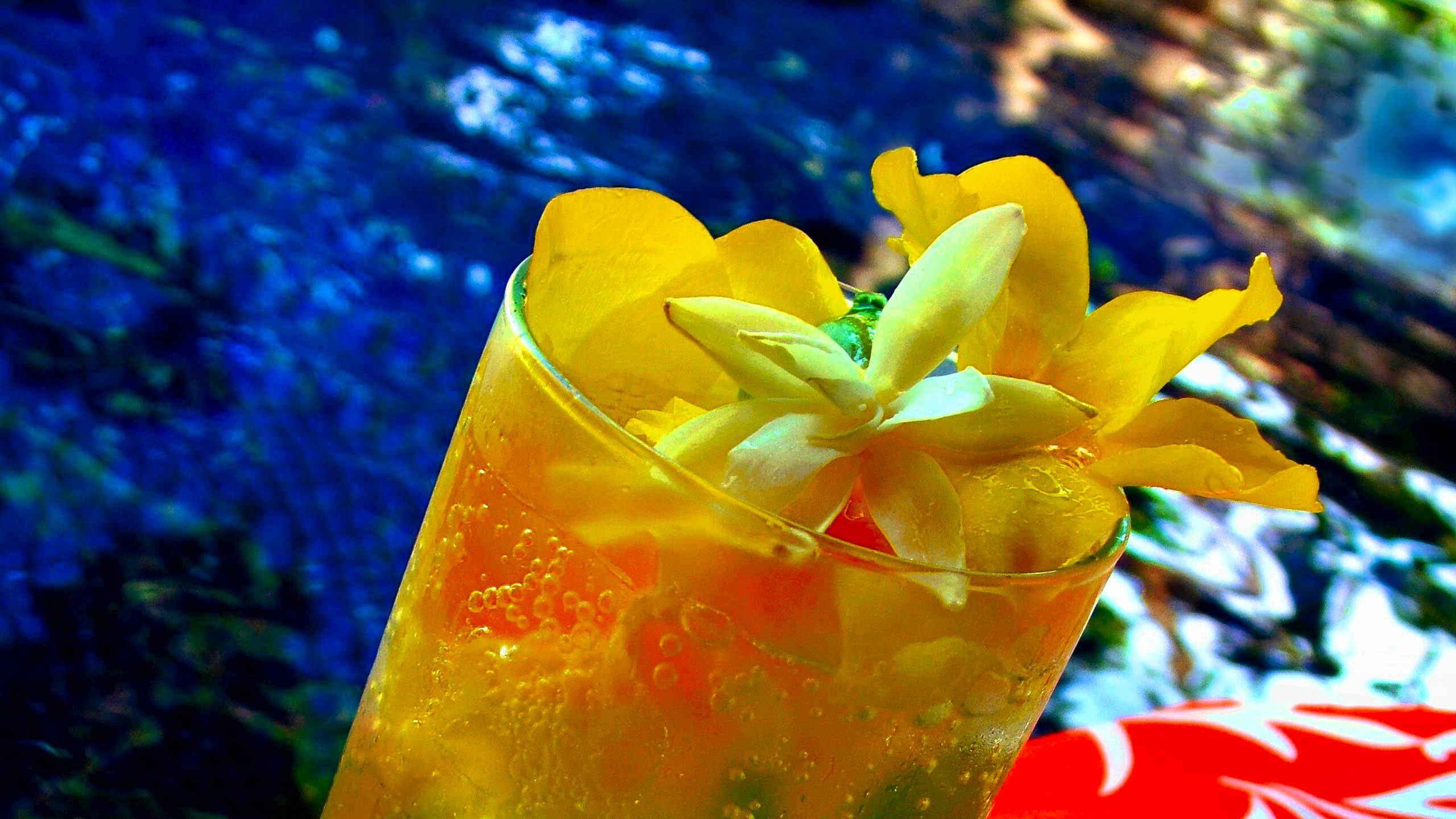 Clear Drinking Glass With Orange Juice. Wallpaper in 2560x1440 Resolution