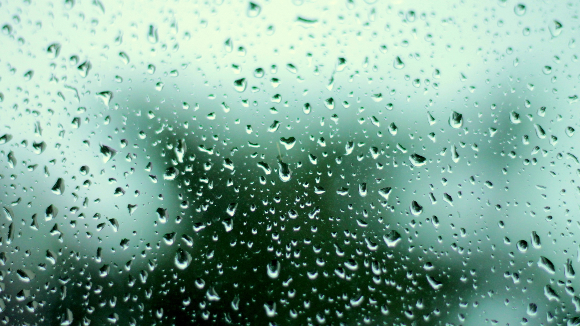 Water Droplets on Glass Panel. Wallpaper in 1920x1080 Resolution