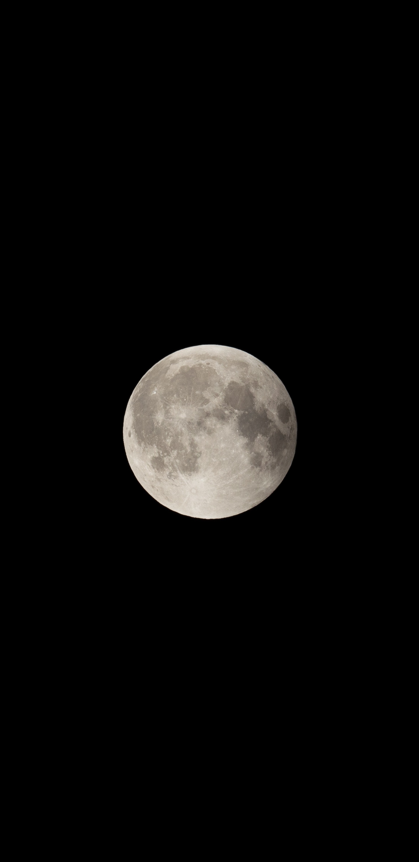 Full Moon in Dark Night Sky. Wallpaper in 1440x2960 Resolution