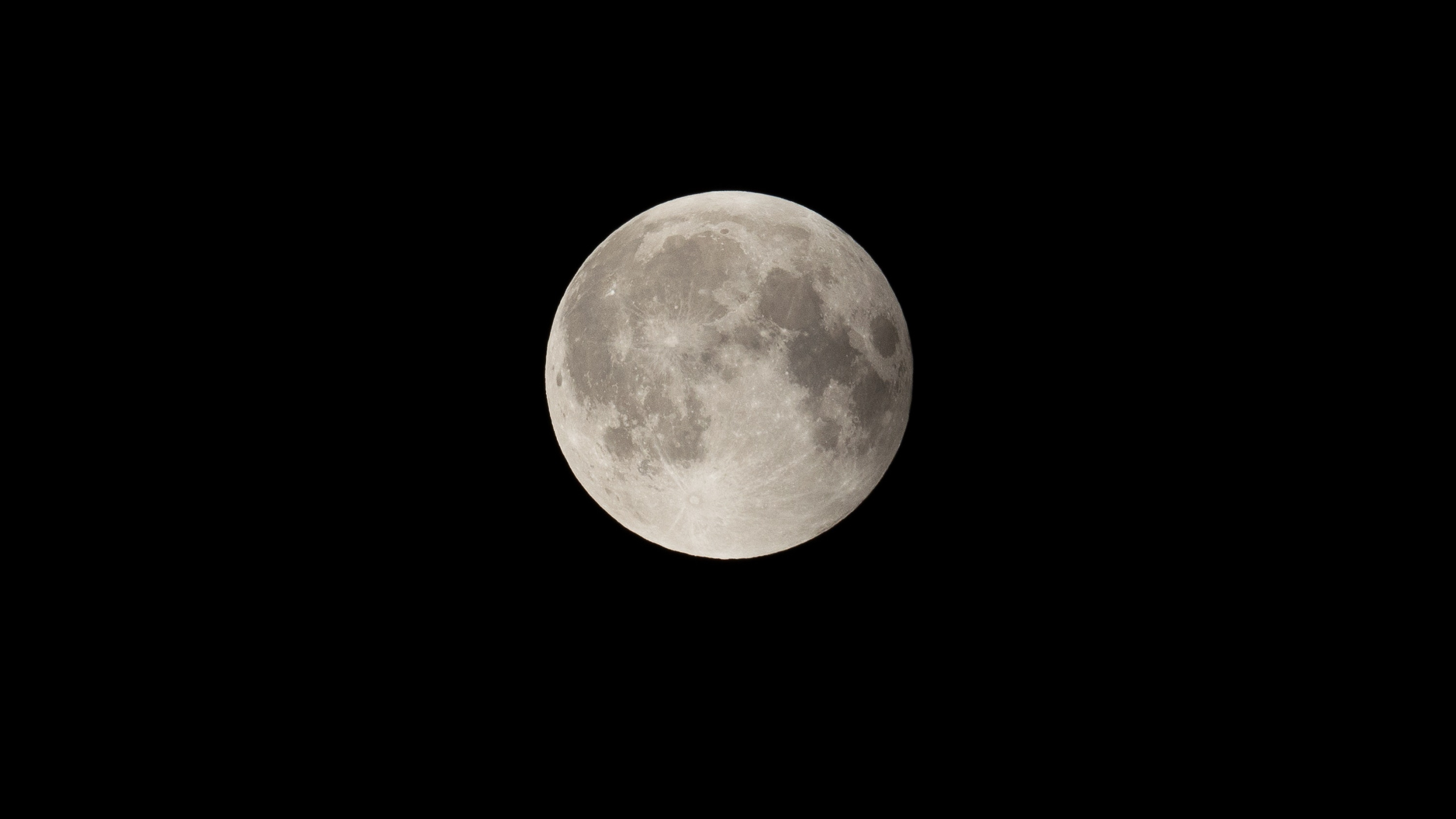 Luna Llena en el Cielo de la Noche Oscura. Wallpaper in 2560x1440 Resolution