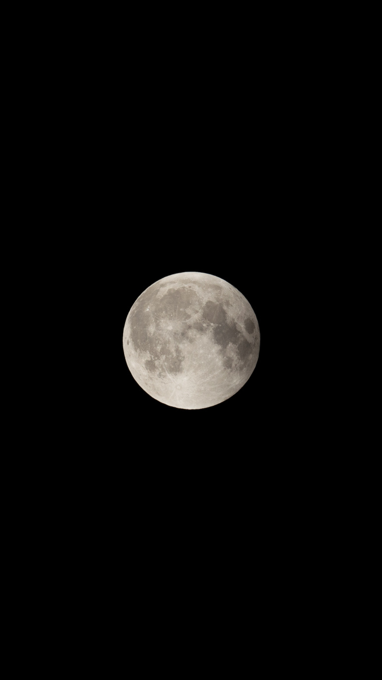Luna Llena en el Cielo de la Noche Oscura. Wallpaper in 750x1334 Resolution