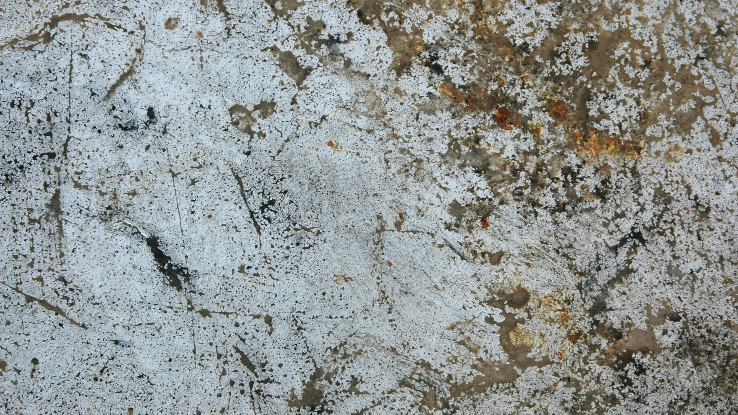 Piso de Concreto Blanco y Marrón. Wallpaper in 2560x1440 Resolution