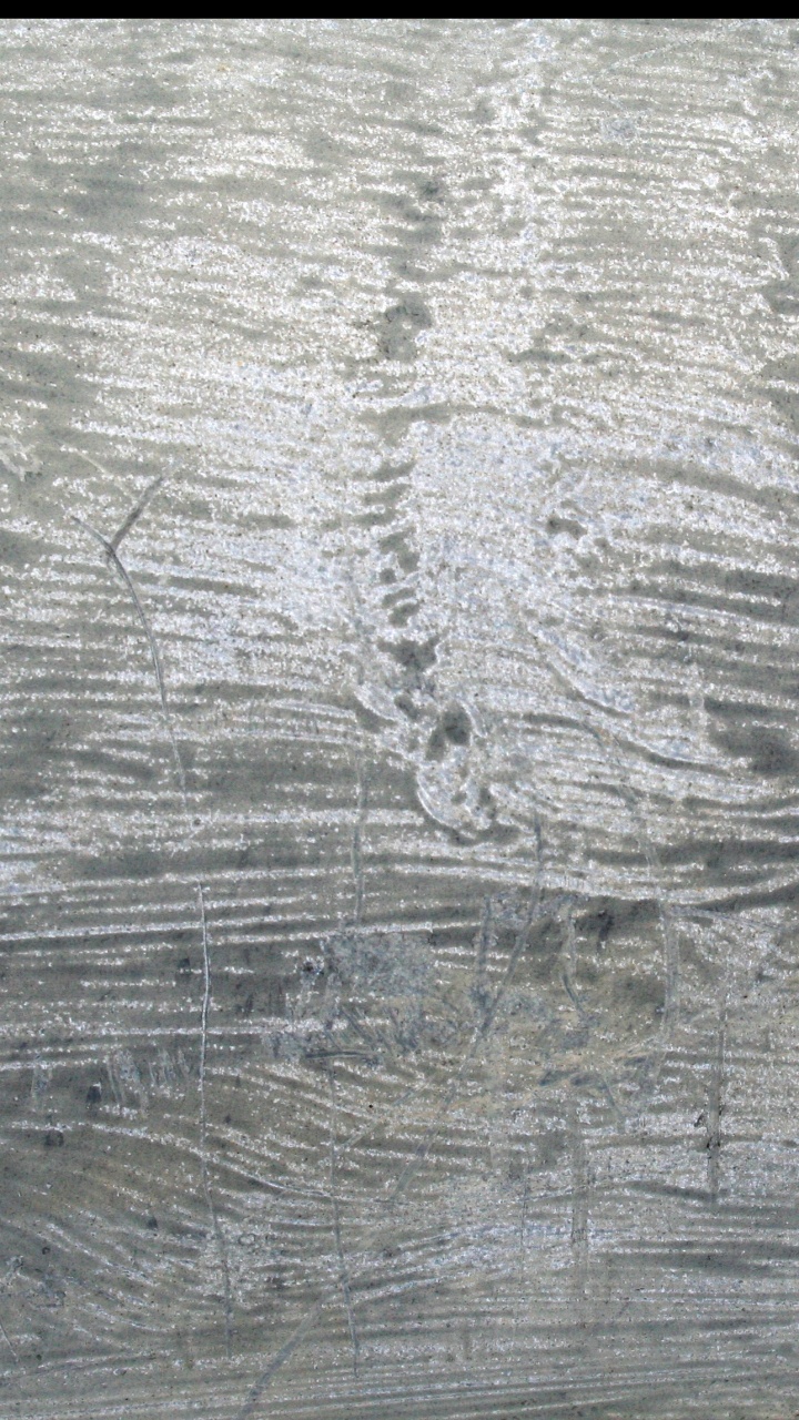 Peinture Abstraite Blanche et Noire. Wallpaper in 720x1280 Resolution