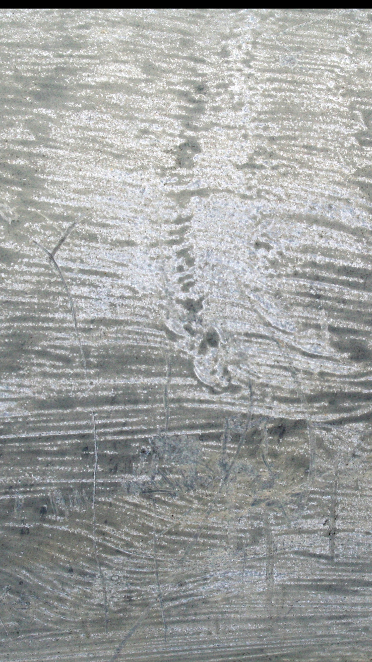 Pintura Abstracta en Blanco y Negro. Wallpaper in 750x1334 Resolution