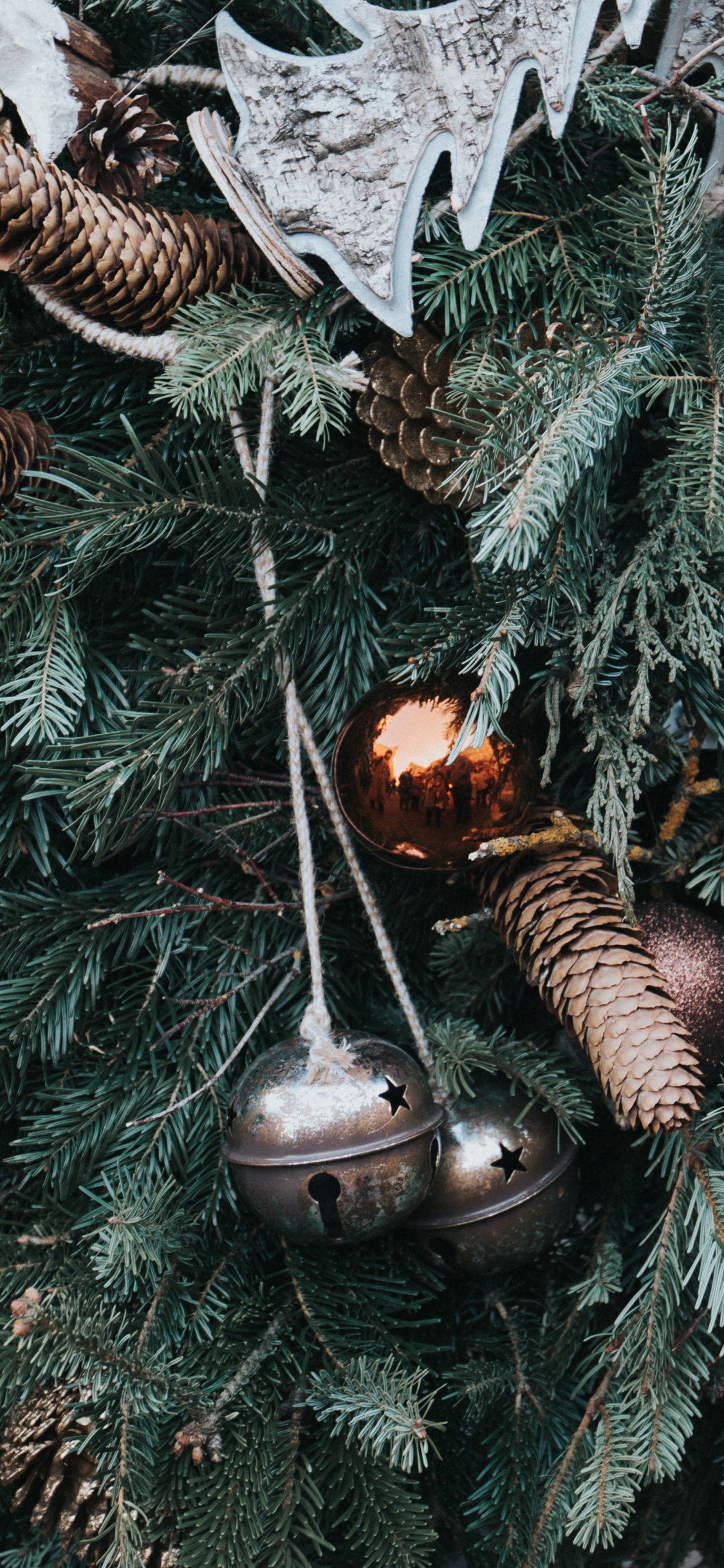 Weihnachten, Weihnachtsdekoration, Christmas Ornament, Baum, Familie Kiefer. Wallpaper in 1125x2436 Resolution