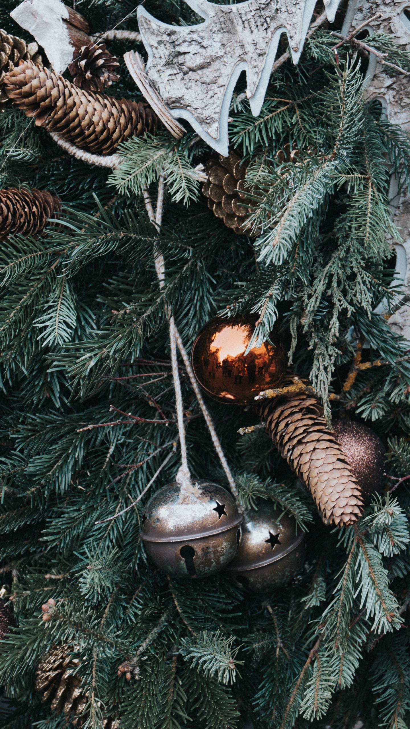 Weihnachten, Weihnachtsdekoration, Christmas Ornament, Baum, Familie Kiefer. Wallpaper in 1440x2560 Resolution