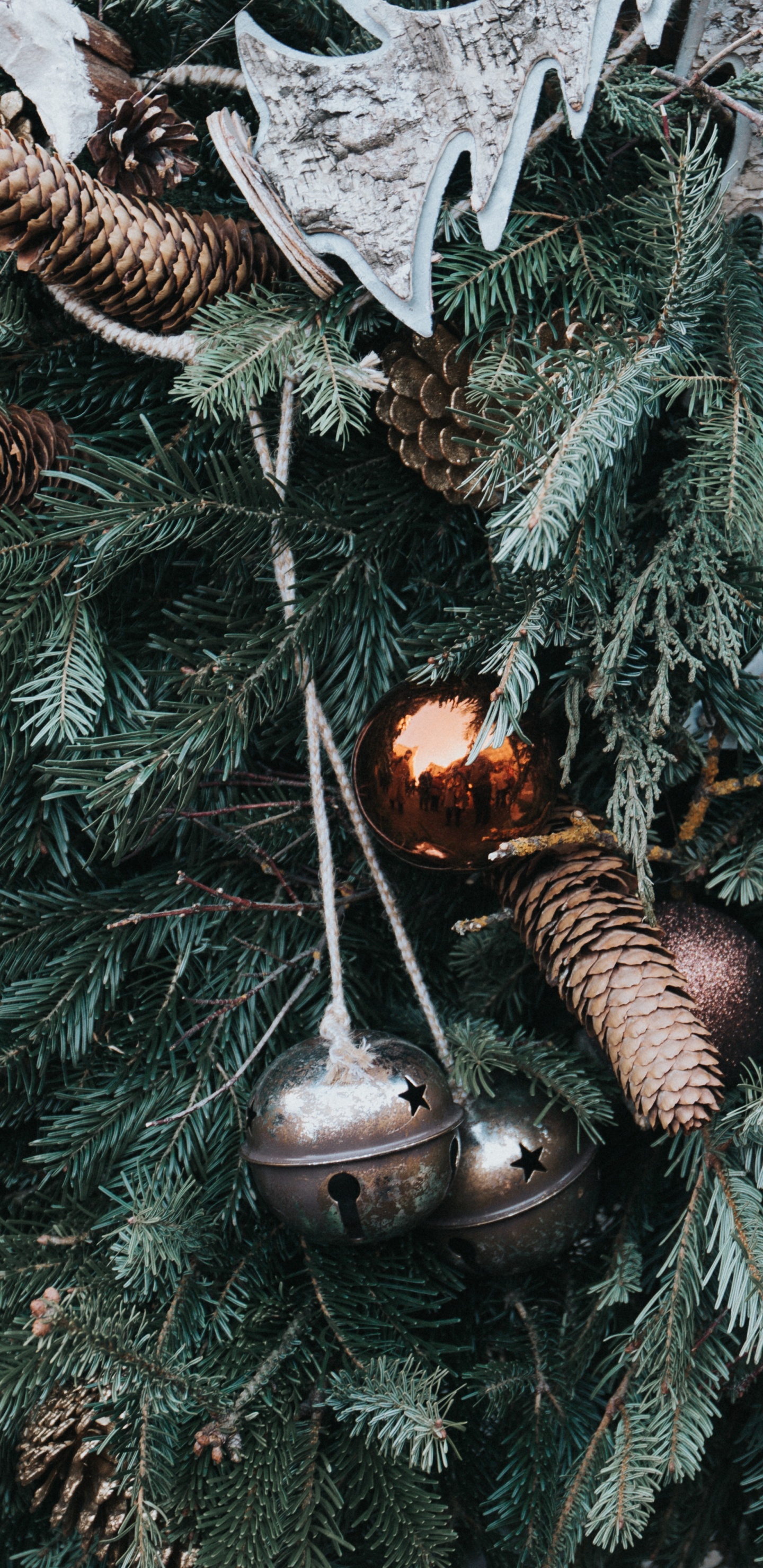 Weihnachten, Weihnachtsdekoration, Christmas Ornament, Baum, Familie Kiefer. Wallpaper in 1440x2960 Resolution