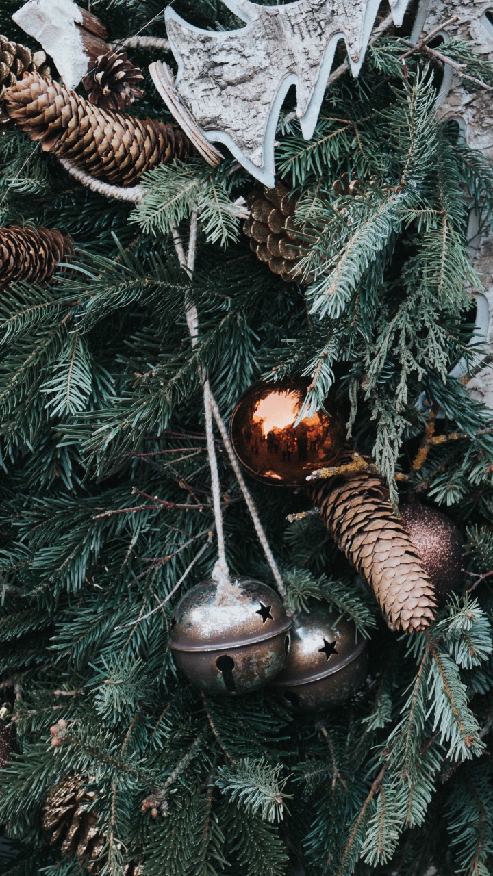 Weihnachten, Weihnachtsdekoration, Christmas Ornament, Baum, Familie Kiefer. Wallpaper in 720x1280 Resolution