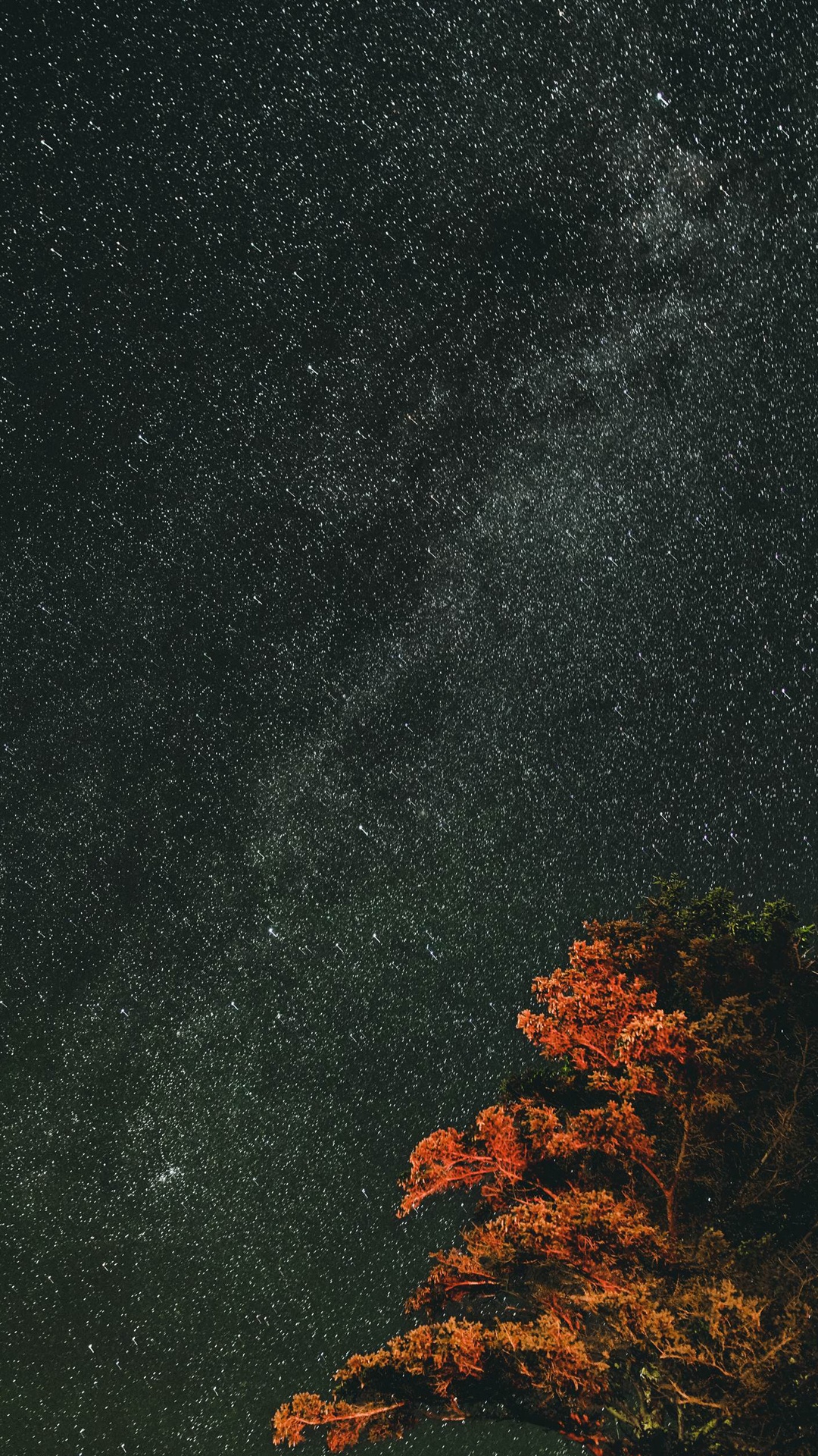 Naturaleza, Paisaje Natural, Asfalto, Ramita, Rectángulo. Wallpaper in 1080x1920 Resolution