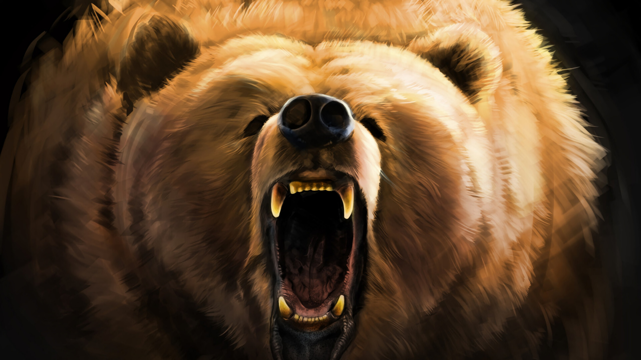 Brown Bear With Blue Eyes. Wallpaper in 1280x720 Resolution