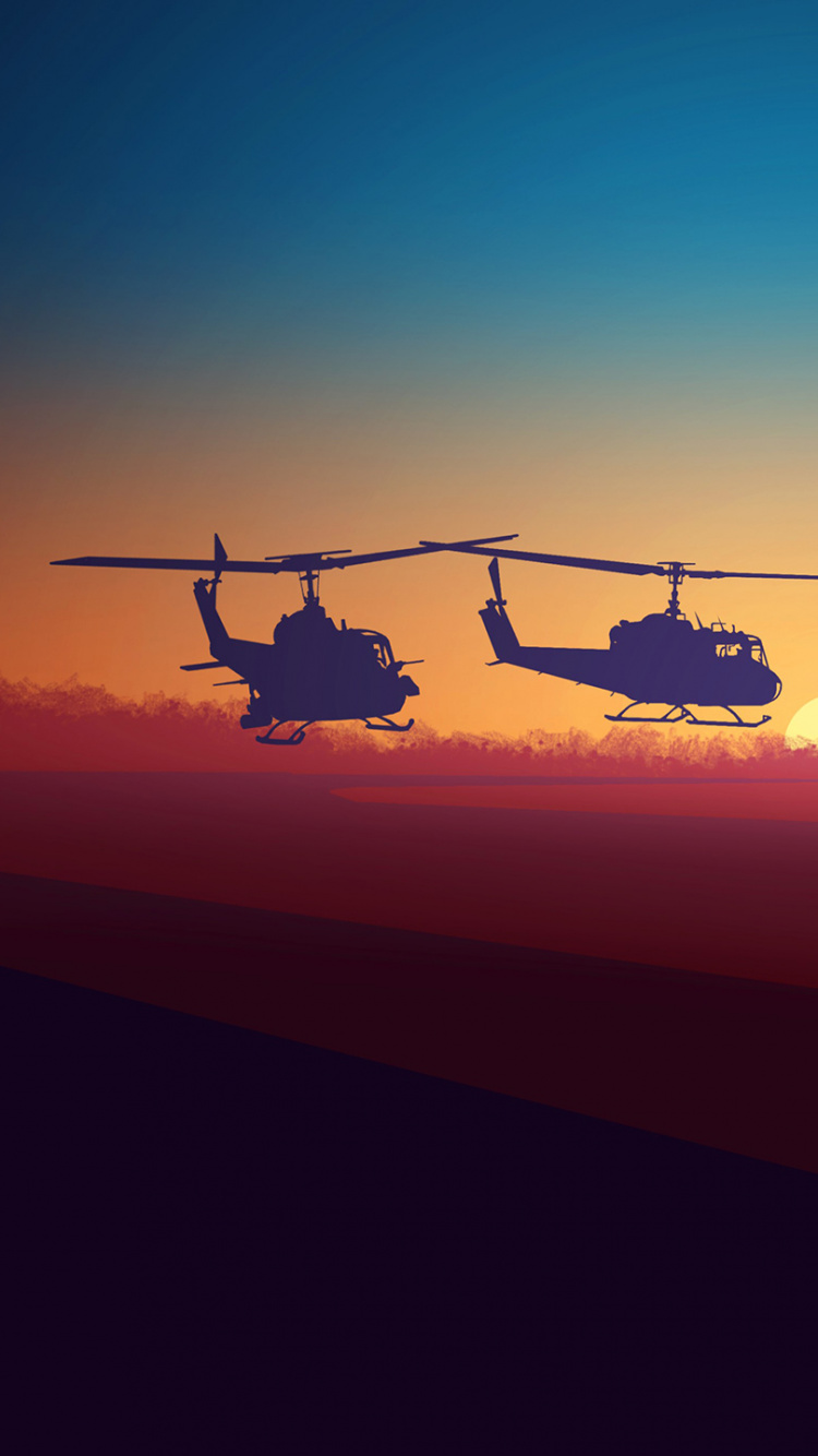 Silhouette de 2 Oiseaux Survolant le Champ Pendant le Coucher du Soleil. Wallpaper in 750x1334 Resolution