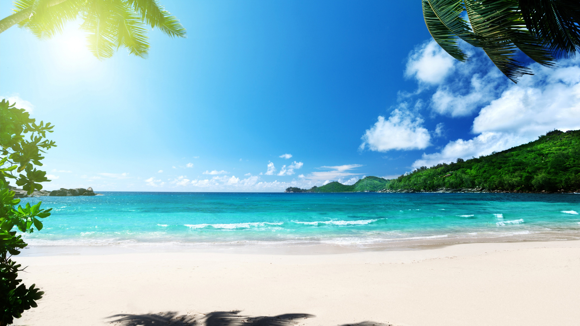Green Palm Tree on White Sand Beach During Daytime. Wallpaper in 1920x1080 Resolution