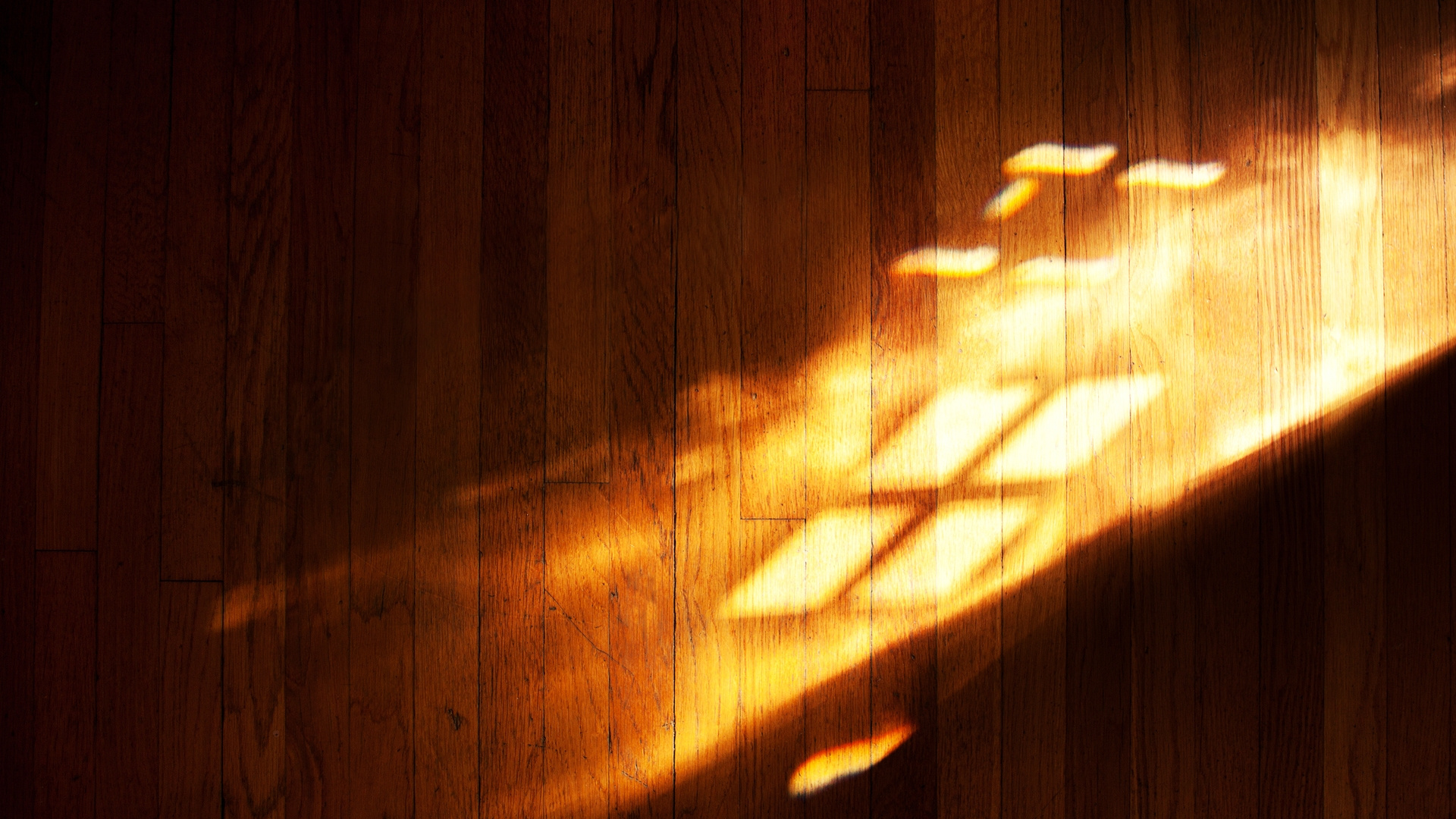 Silhouette de Personne Debout Sur un Plancher en Bois Marron. Wallpaper in 1920x1080 Resolution