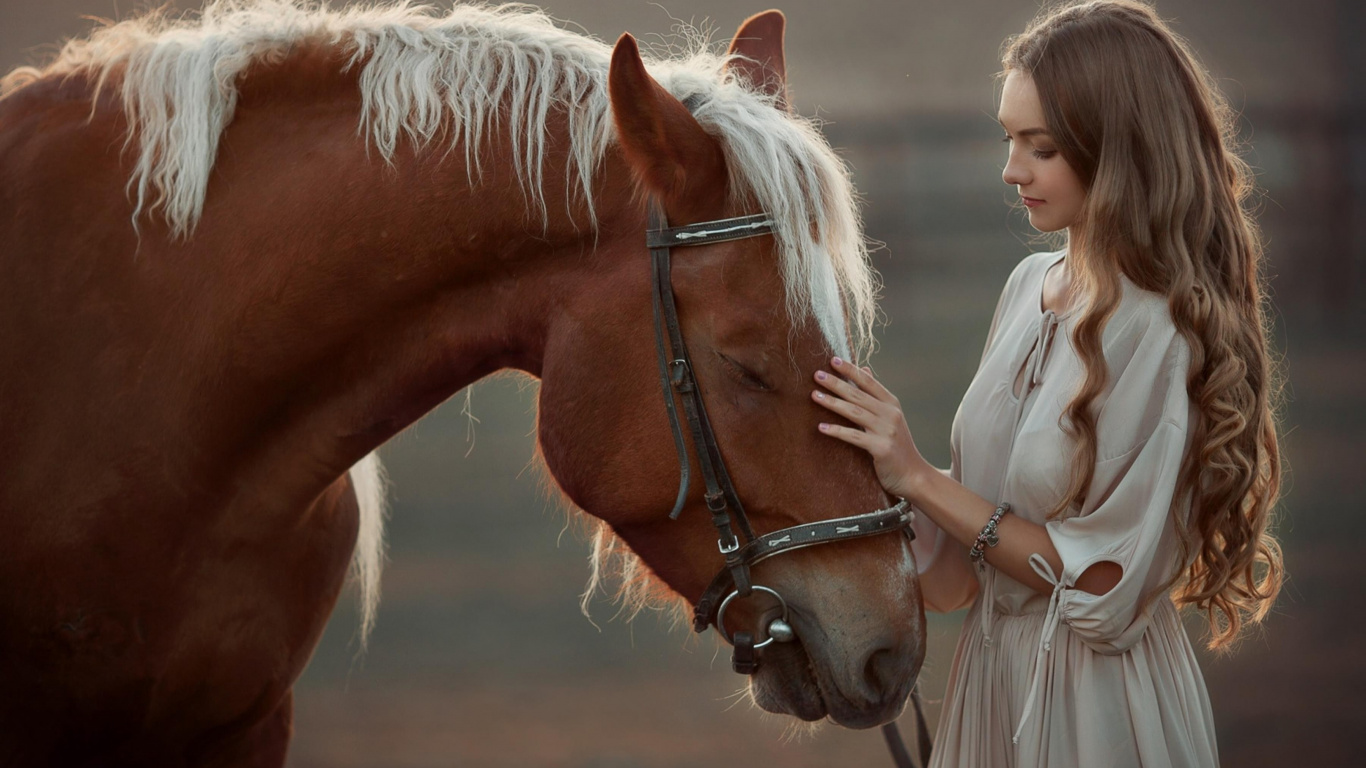 Chica Con Caballo, Caballo Blanco, Caballo Árabe, Pony, Cabello. Wallpaper in 1366x768 Resolution