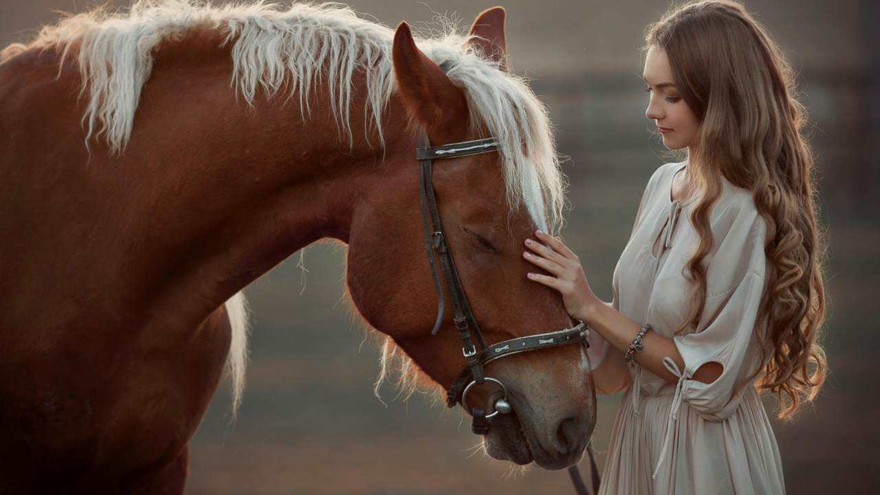 Mädchen Mit Pferd, Weißes Pferd, Arabian Horse, Pony, Haar. Wallpaper in 1280x720 Resolution