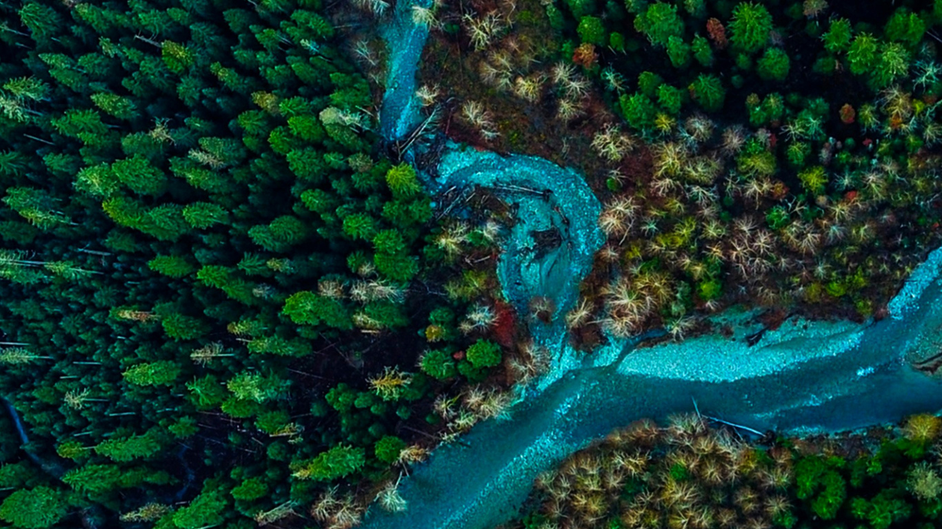 la Vegetación, Verde, Submarino, Agua, la Botánica. Wallpaper in 1366x768 Resolution