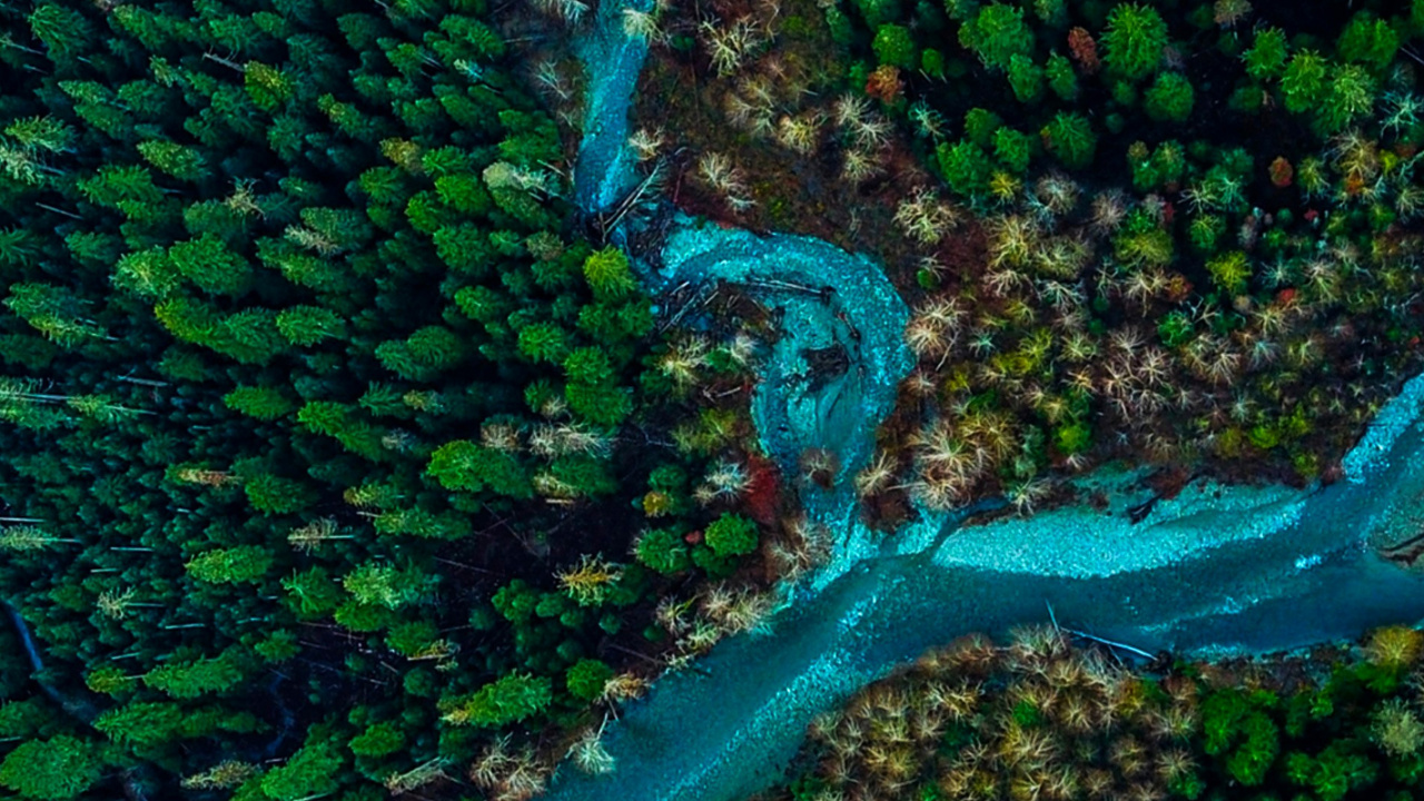 Vegetation, Gr, Unterwasser, Blatt, Wasser. Wallpaper in 1280x720 Resolution