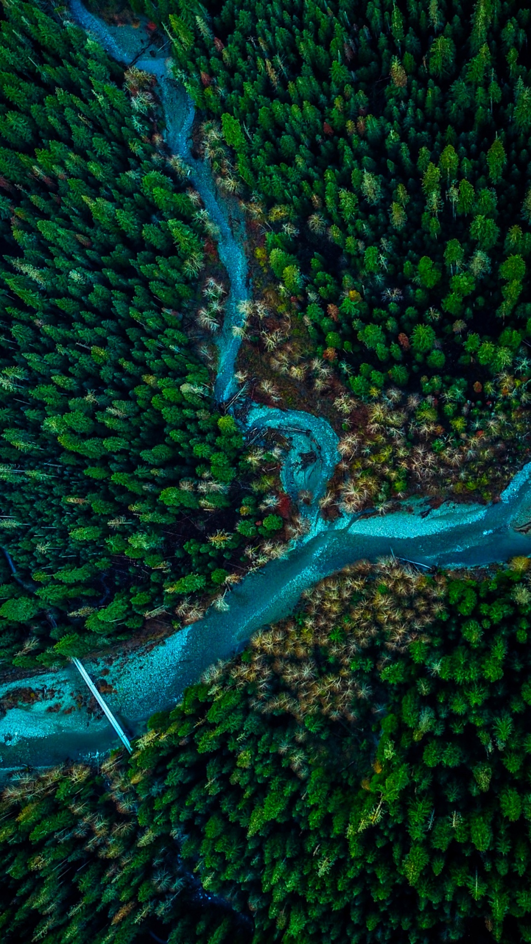 Vegetation, Green, Underwater, Leaf, Water. Wallpaper in 1080x1920 Resolution