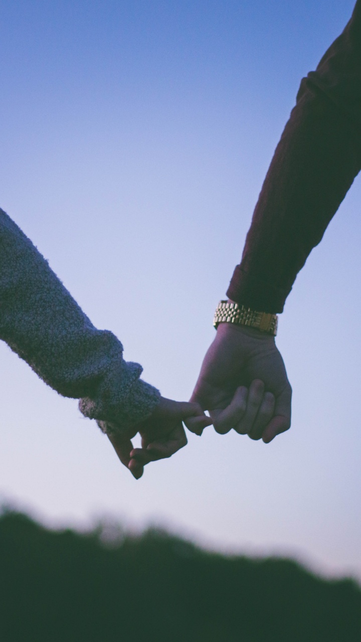 Feuille, Main, Geste, Tige de la Plante, Ciel. Wallpaper in 720x1280 Resolution