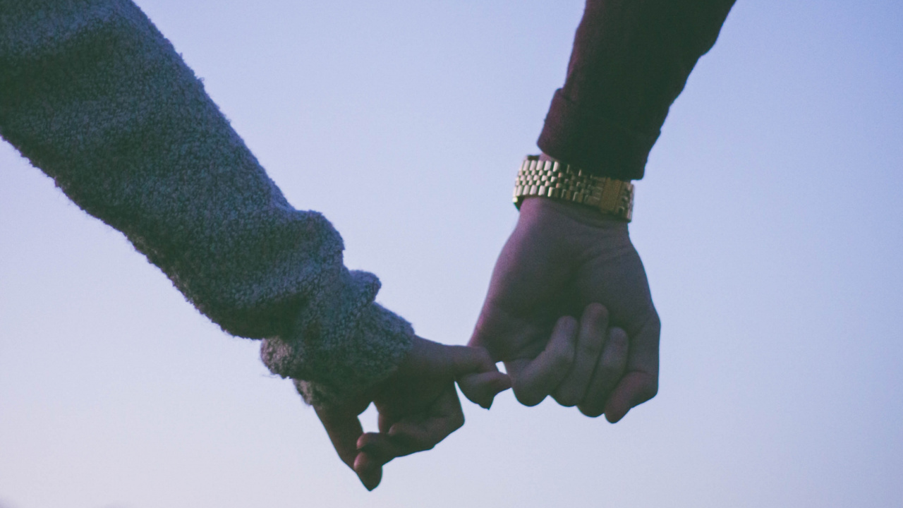 Leaf, Plant, Hand, Branch, Tree. Wallpaper in 1280x720 Resolution