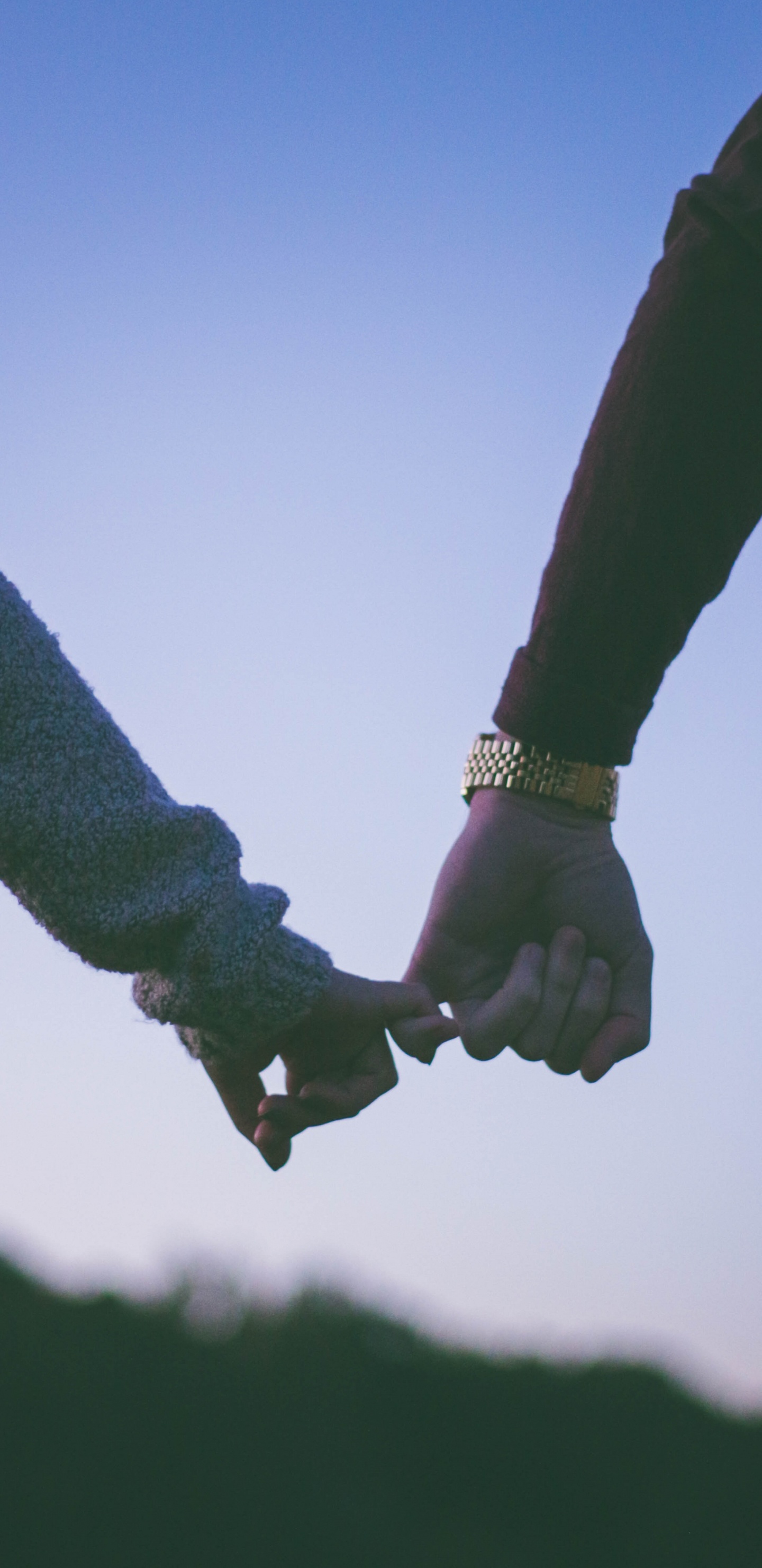 手, 手势, 植物干, 天空, 抑郁症 壁纸 1440x2960 允许