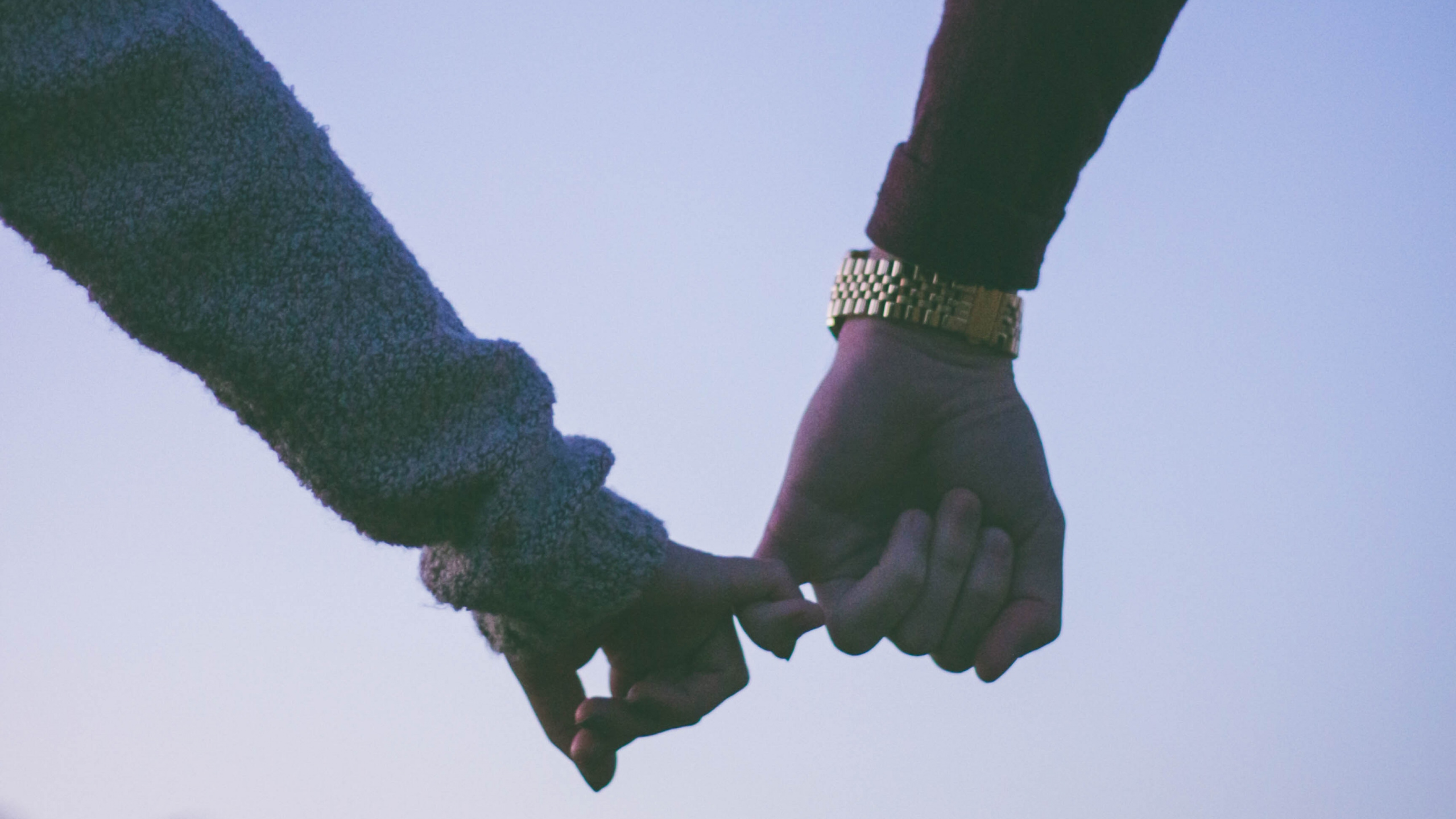 手, 手势, 植物干, 天空, 抑郁症 壁纸 2560x1440 允许