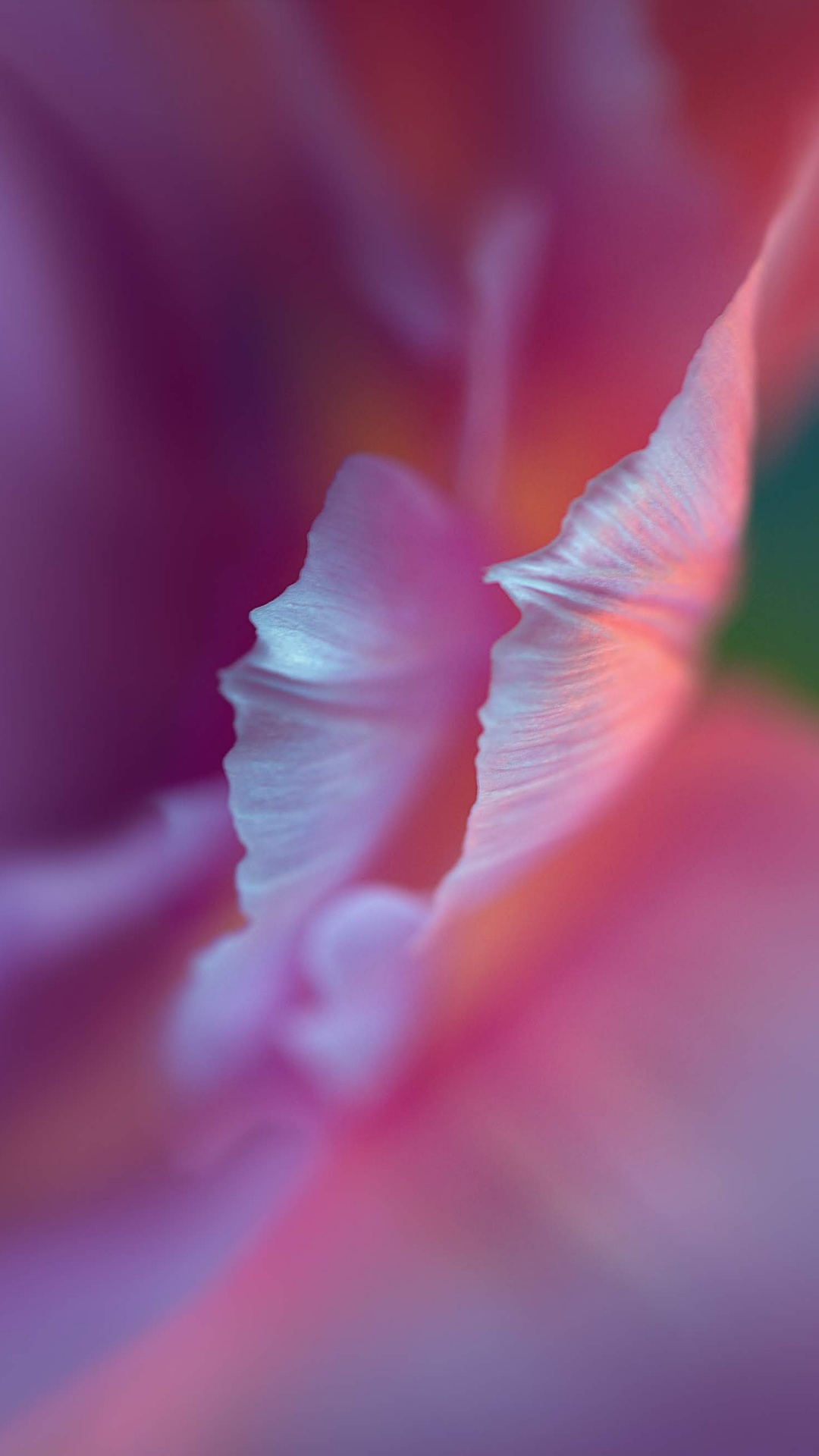 Huawei, Huawei P40 Pro, P40 Pro, Huawei P40, Huawei P30 Pro. Wallpaper in 1080x1920 Resolution