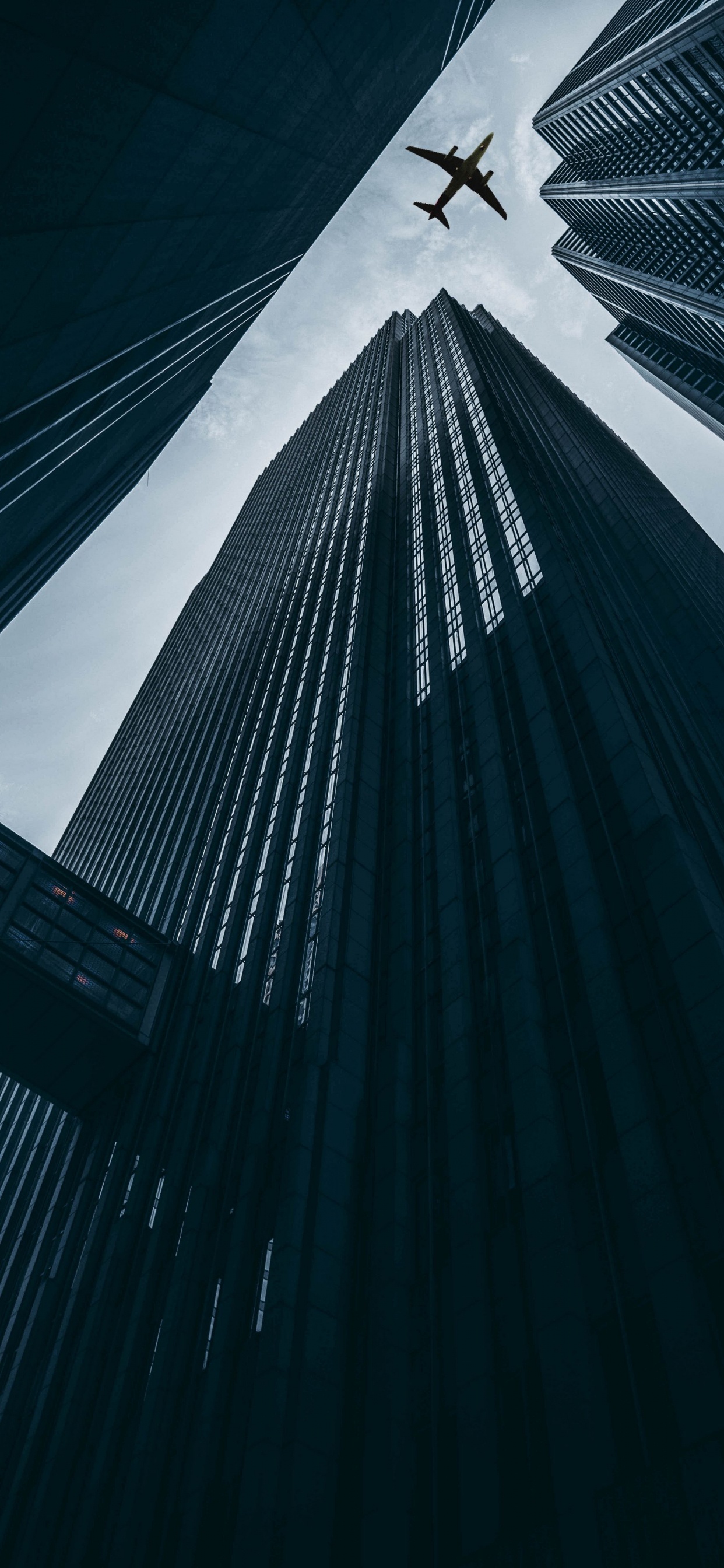 Vuelo, Aeronave, Aeropuerto, Concordia, Aviación. Wallpaper in 1242x2688 Resolution