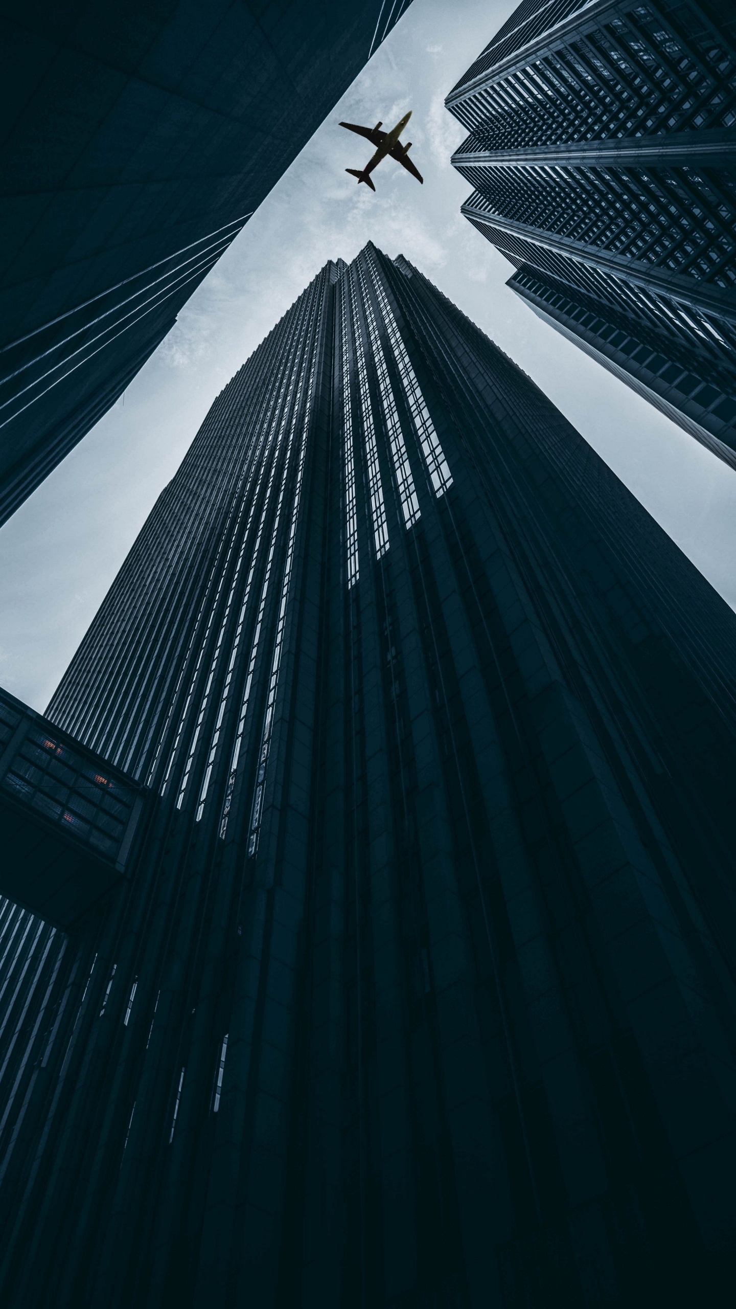 Vuelo, Aeronave, Aeropuerto, Concordia, Aviación. Wallpaper in 1440x2560 Resolution