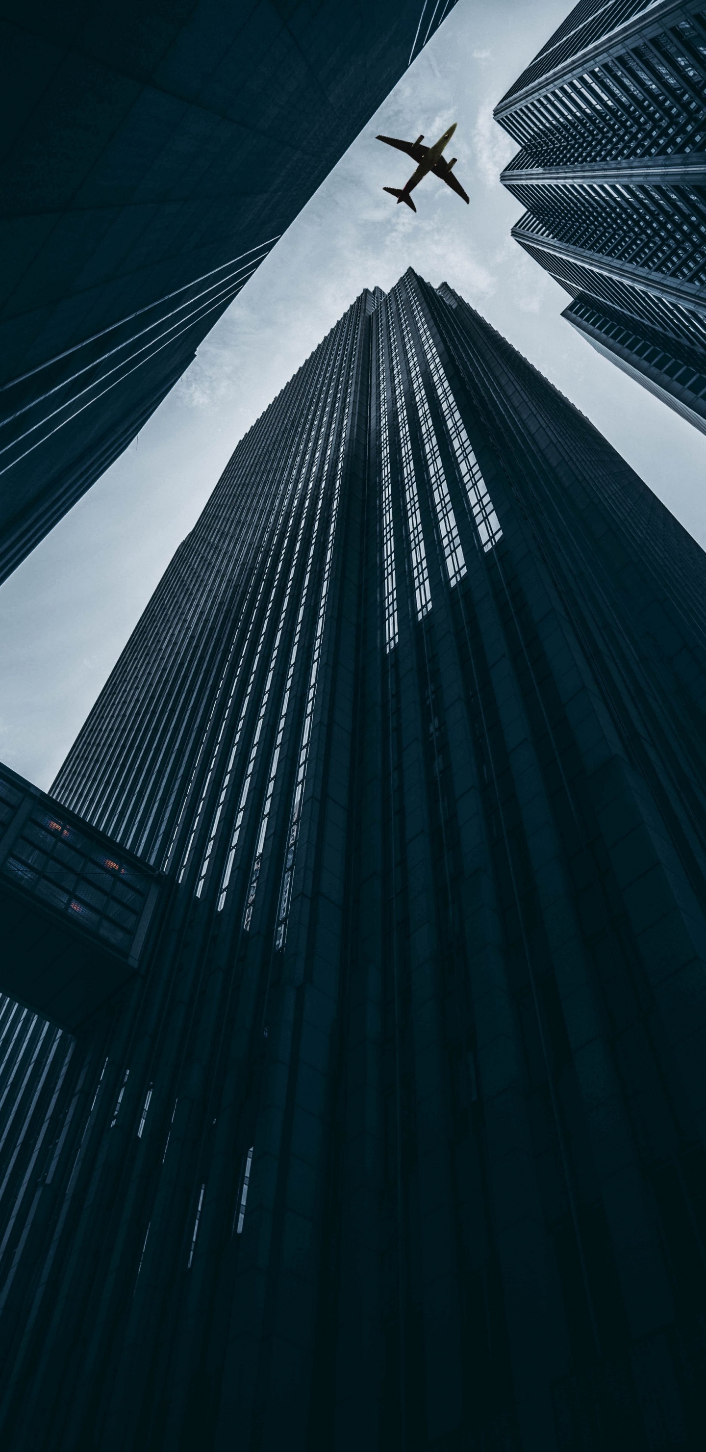 Vuelo, Aeronave, Aeropuerto, Concordia, Aviación. Wallpaper in 1440x2960 Resolution