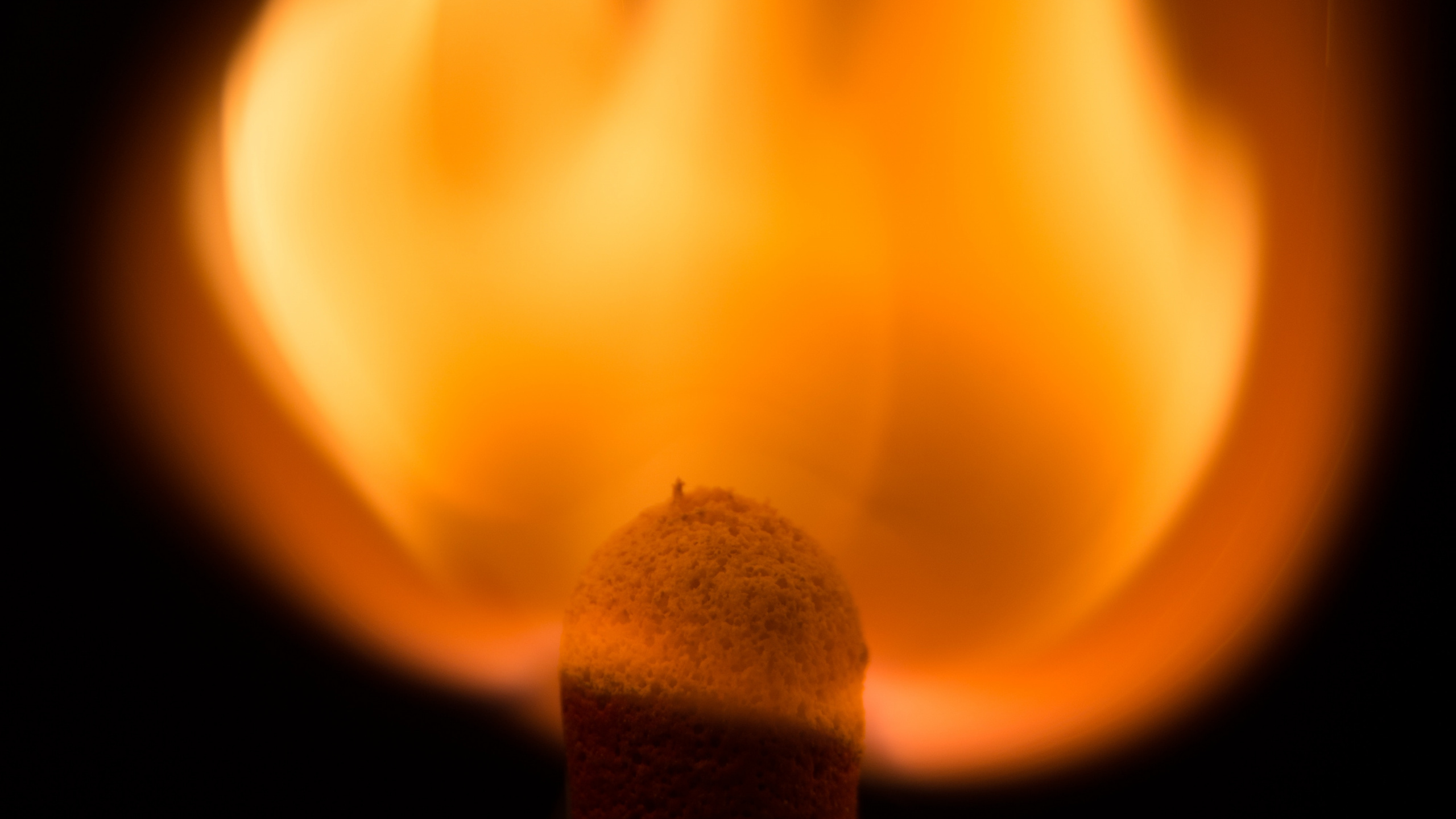 Feuer, Flamme, Spiel, Hitze, Smartphone. Wallpaper in 2560x1440 Resolution
