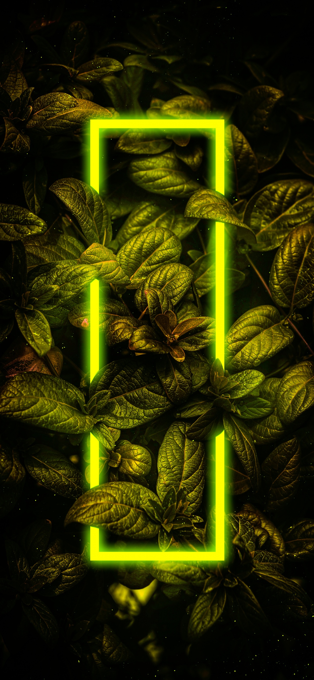 Planta Terrestre, Arte, Patrón, Simetría, Metal. Wallpaper in 1242x2688 Resolution