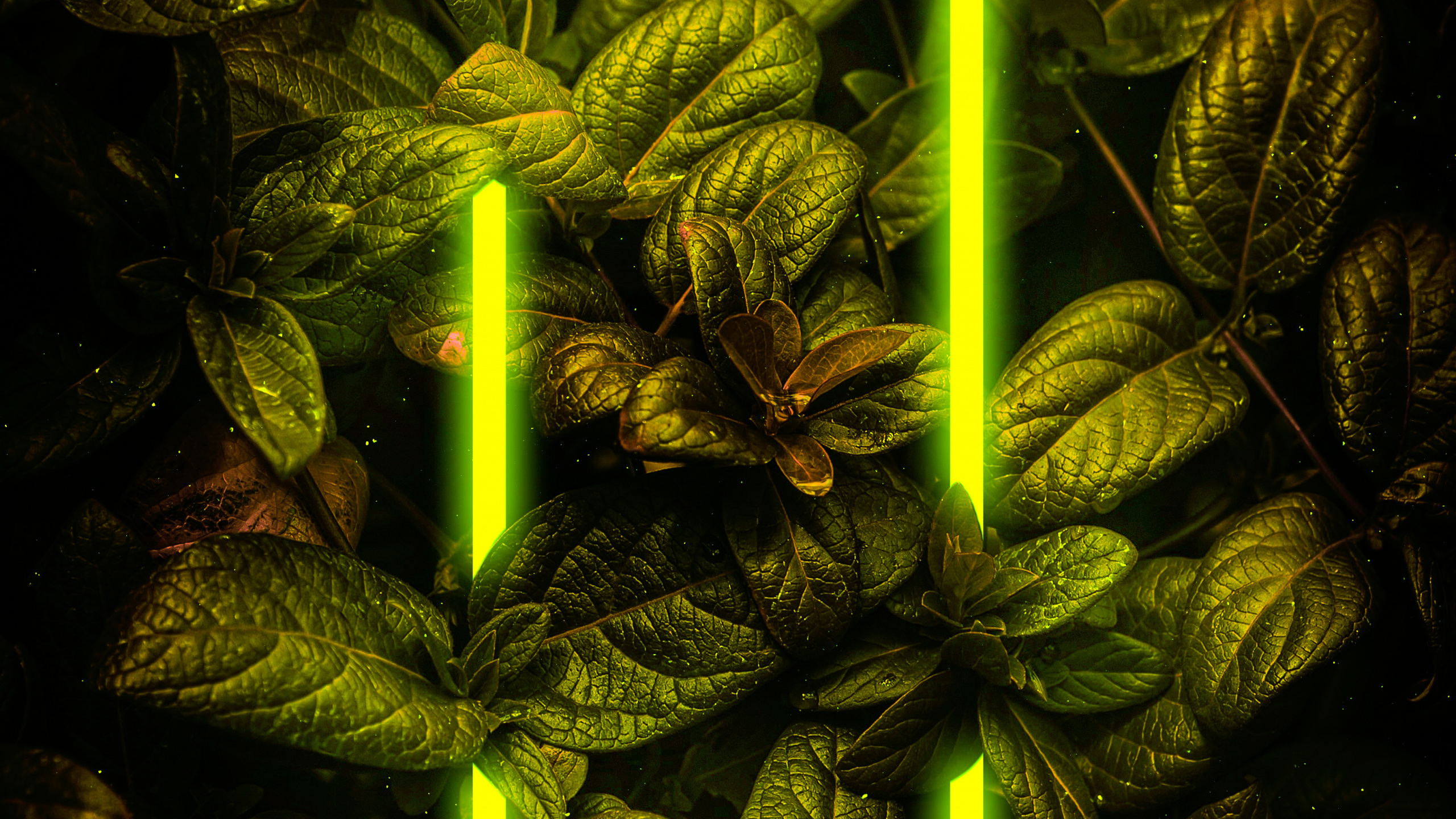 Plante Terrestre, Art, Obscurité, Symétrie, Métal. Wallpaper in 2560x1440 Resolution