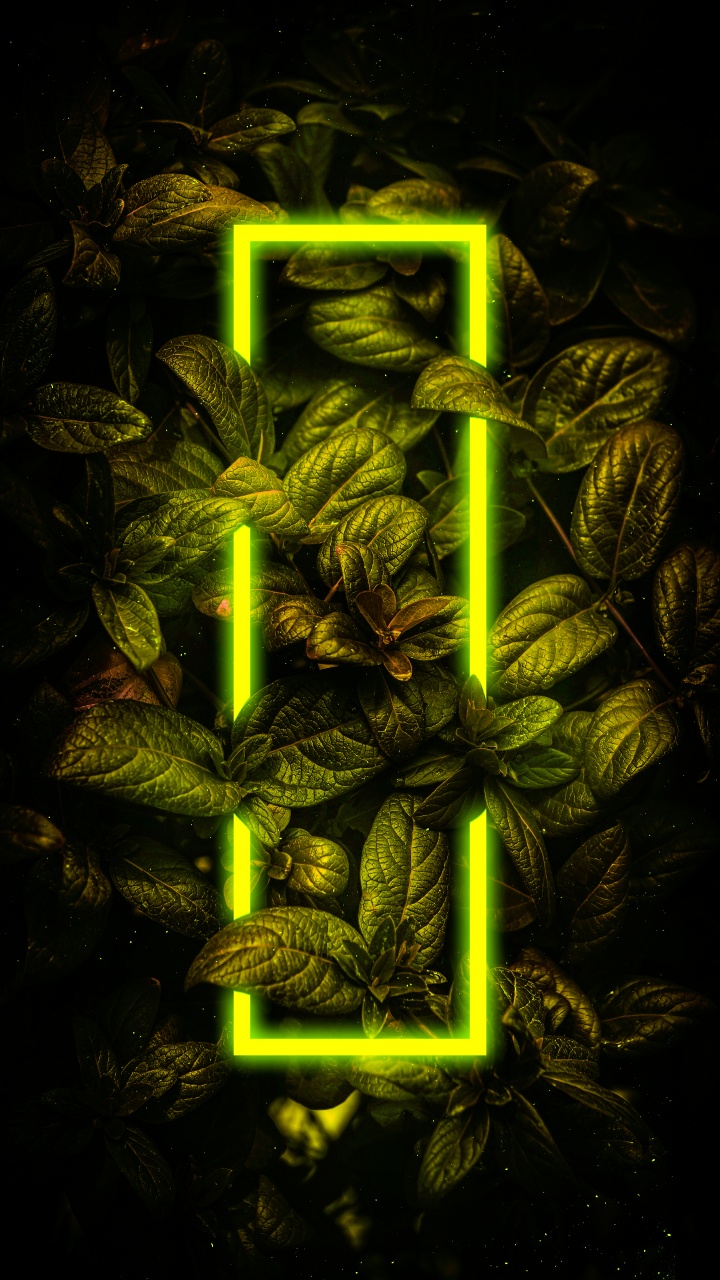 Terrestrial Plant, Grass, Plant, Art, Pattern. Wallpaper in 720x1280 Resolution