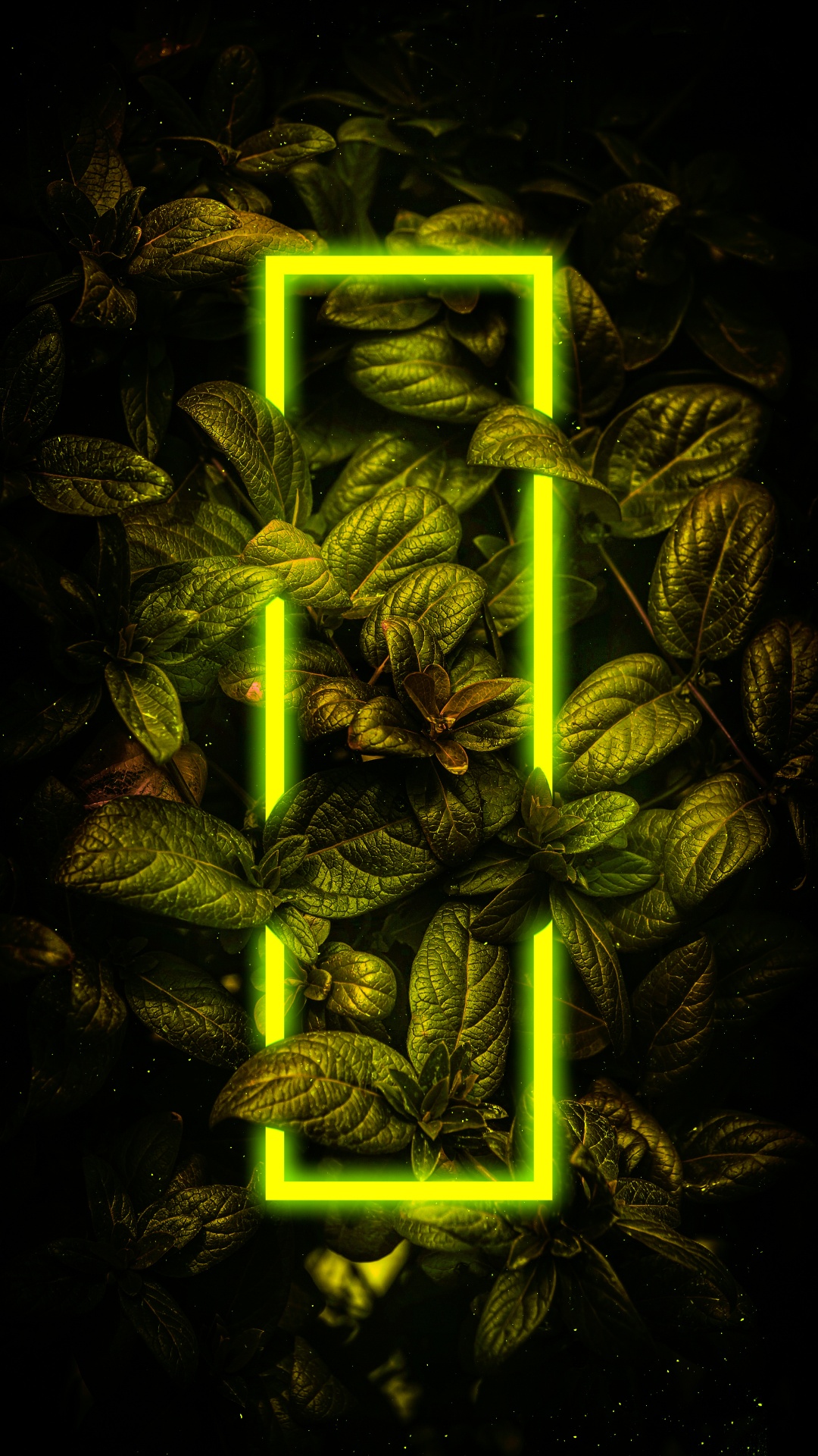 Terrestrische Pflanzen, Gras, Kunst, Muster, Symmetrie. Wallpaper in 1080x1920 Resolution