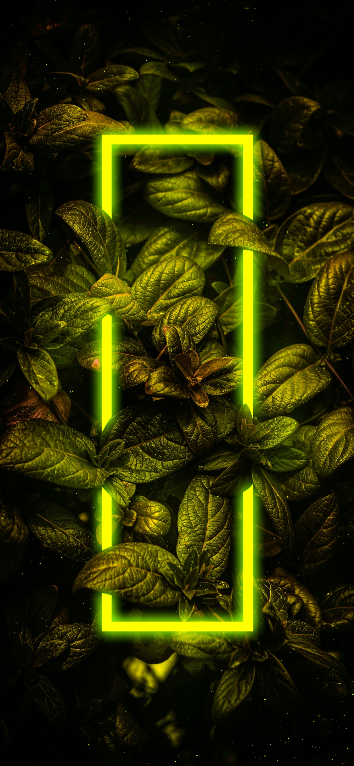 Terrestrische Pflanzen, Gras, Kunst, Muster, Symmetrie. Wallpaper in 1125x2436 Resolution