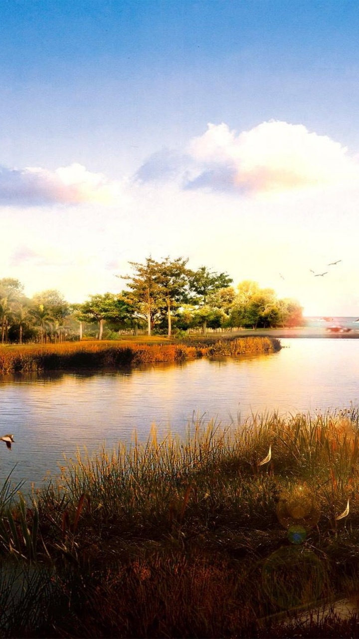 Grünes Gras in Der Nähe Des Sees Unter Blauem Himmel Tagsüber. Wallpaper in 720x1280 Resolution