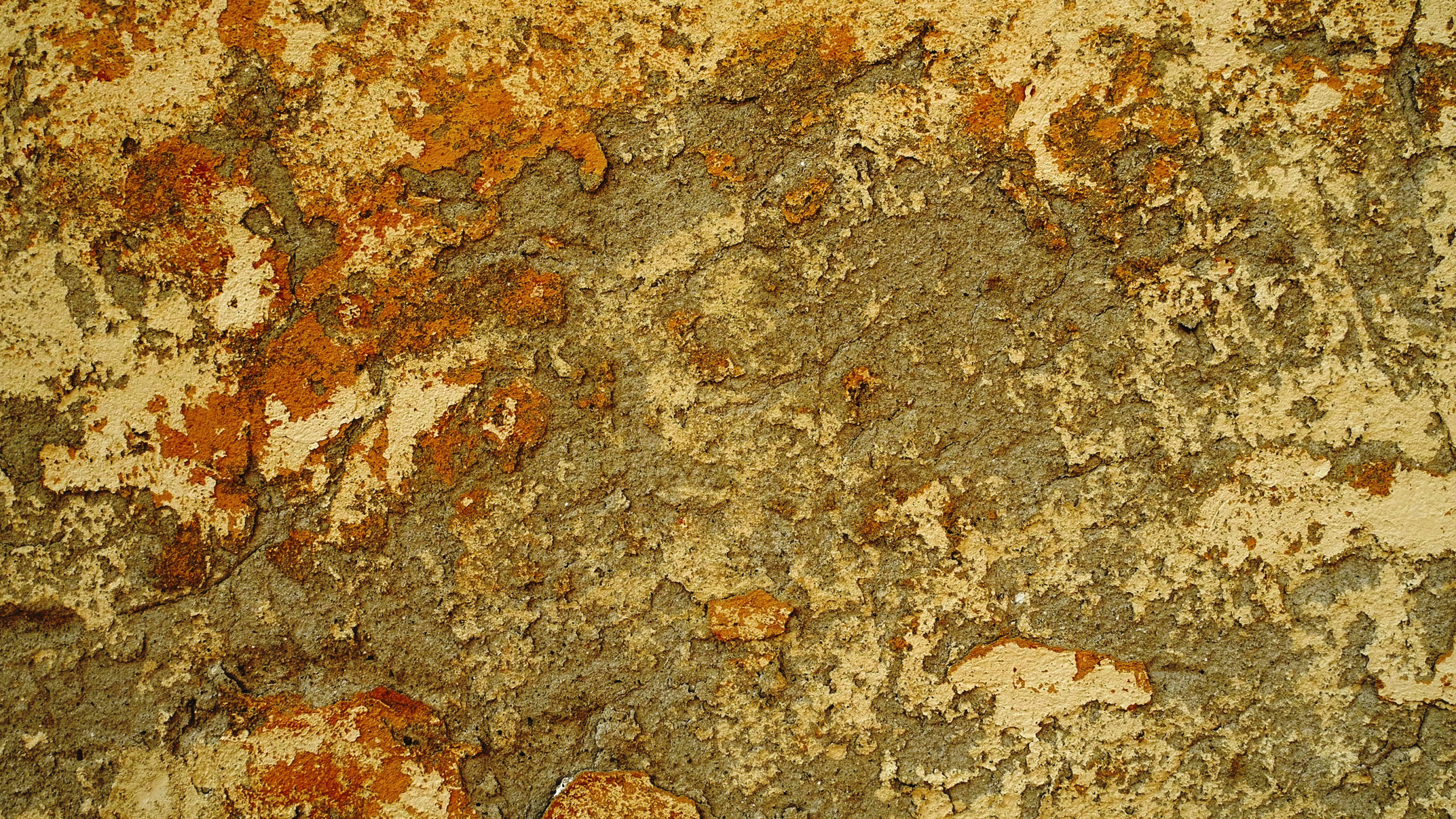 Brown and Black Marble Surface. Wallpaper in 2560x1440 Resolution