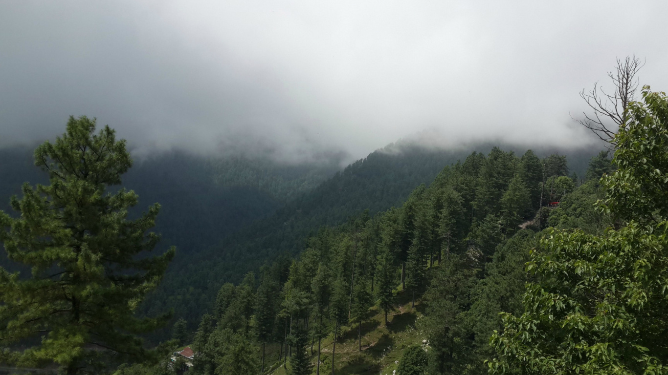 Green Trees on Mountain During Daytime. Wallpaper in 1366x768 Resolution