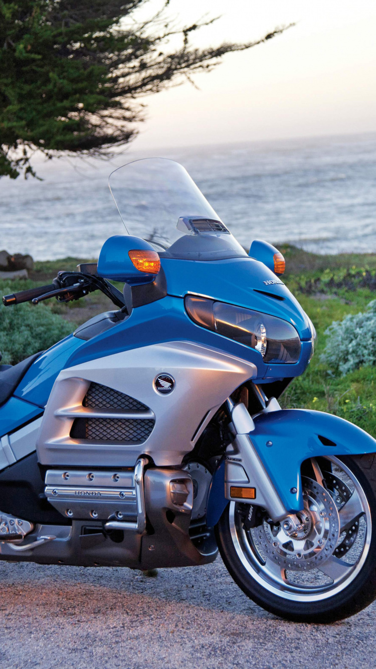 Blue and Black Sports Bike on Green Grass Field Near Body of Water During Daytime. Wallpaper in 750x1334 Resolution
