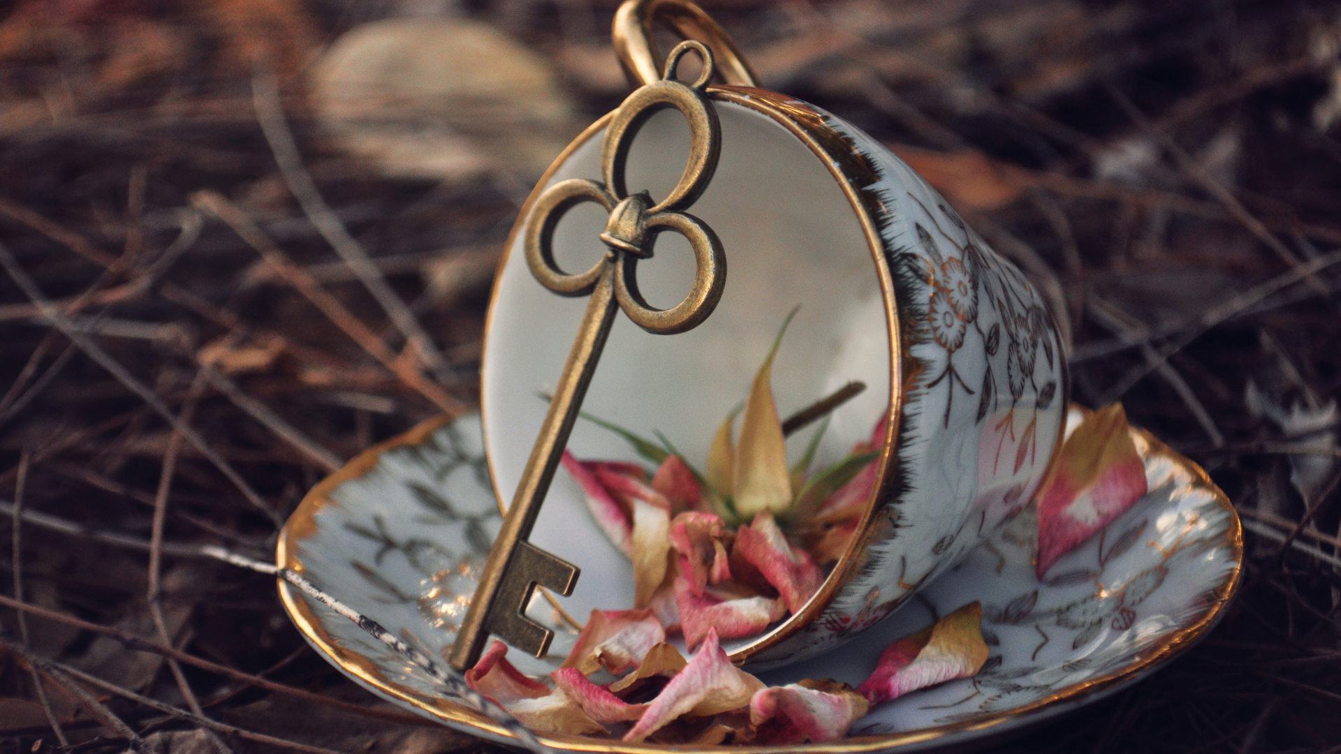 Plant, Christmas Ornament, Ornament, Twig, Holiday Ornament. Wallpaper in 1920x1080 Resolution