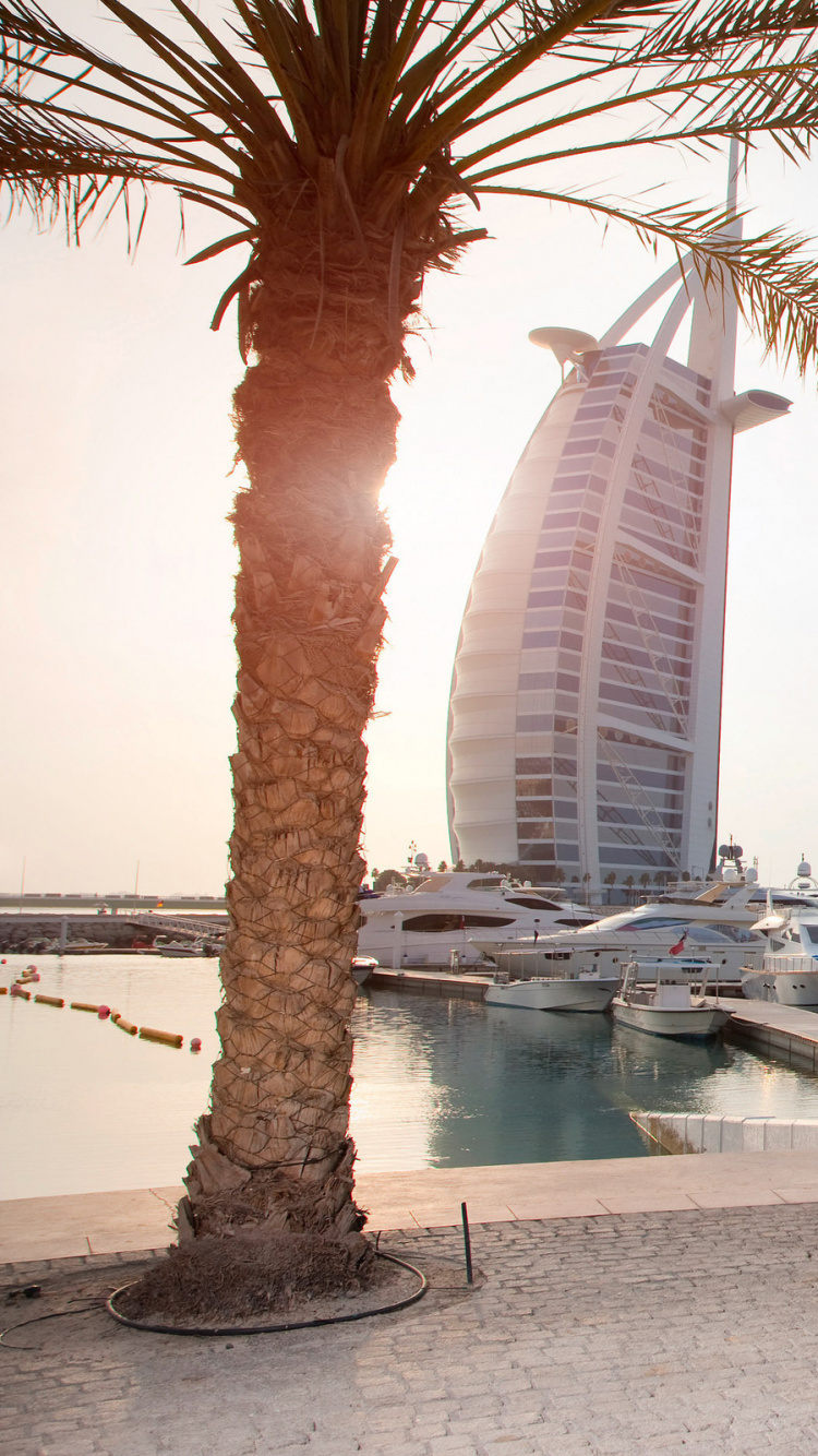 Coupé Jaune Garé Près D'un Plan D'eau Pendant la Journée. Wallpaper in 750x1334 Resolution