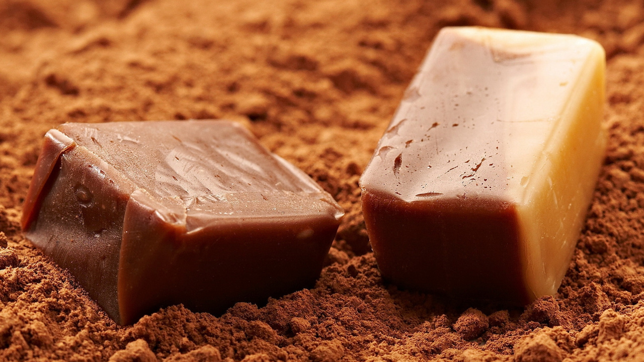 Two Brown and White Ceramic Rectangular Plates on Brown Sand. Wallpaper in 1280x720 Resolution