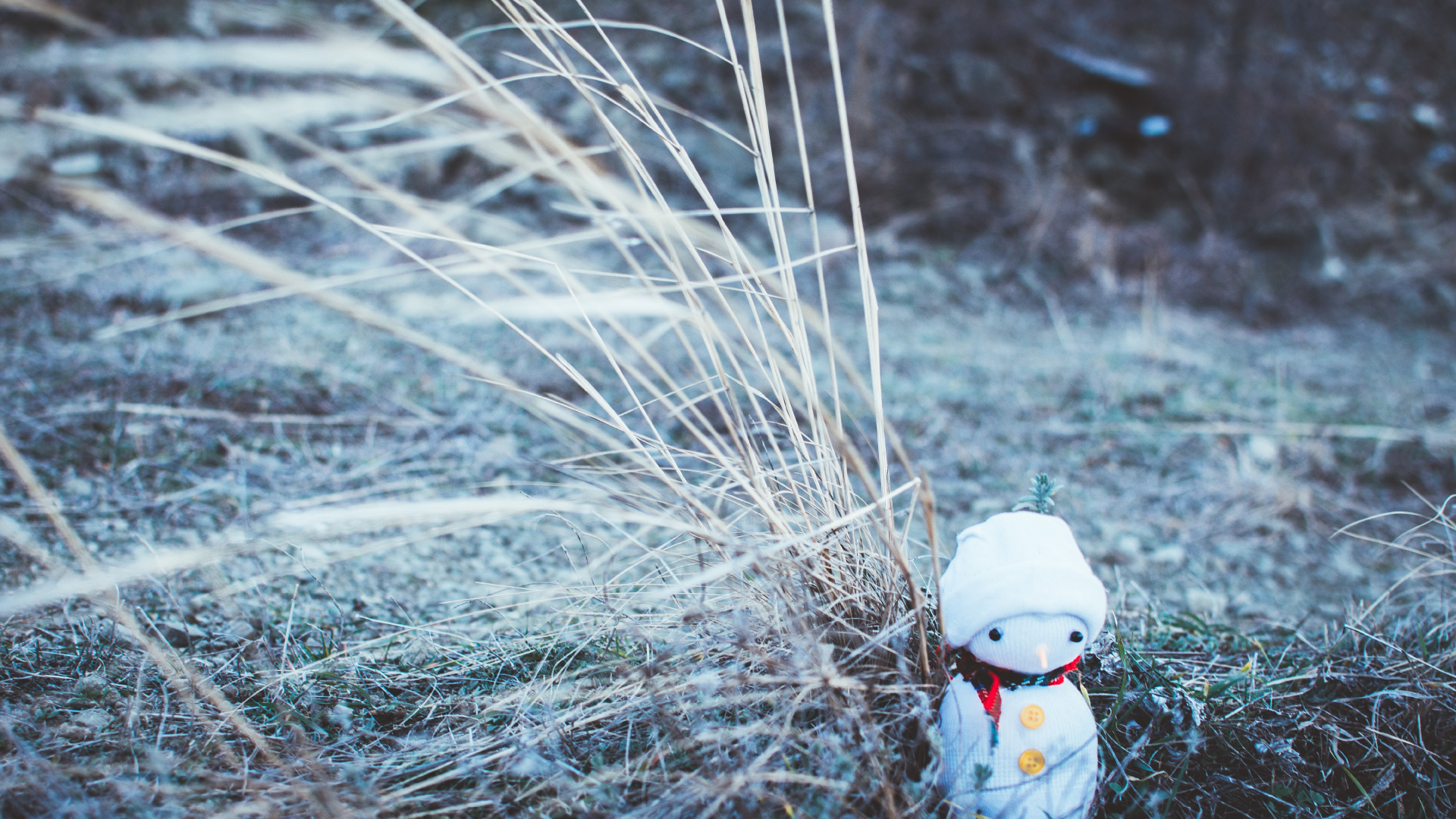 Snowman, New Year, Christmas Day, Water, Grass. Wallpaper in 1920x1080 Resolution