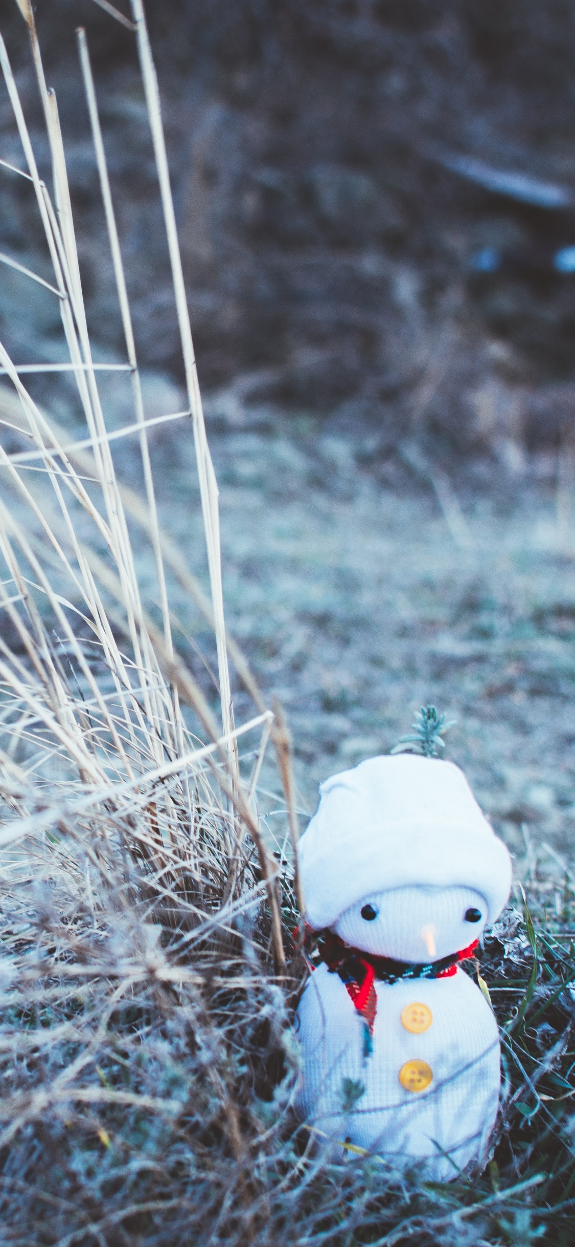 Bonhomme, Nouvelle Année, Le Jour De Noël, Eau, L'herbe de la Famille. Wallpaper in 1125x2436 Resolution